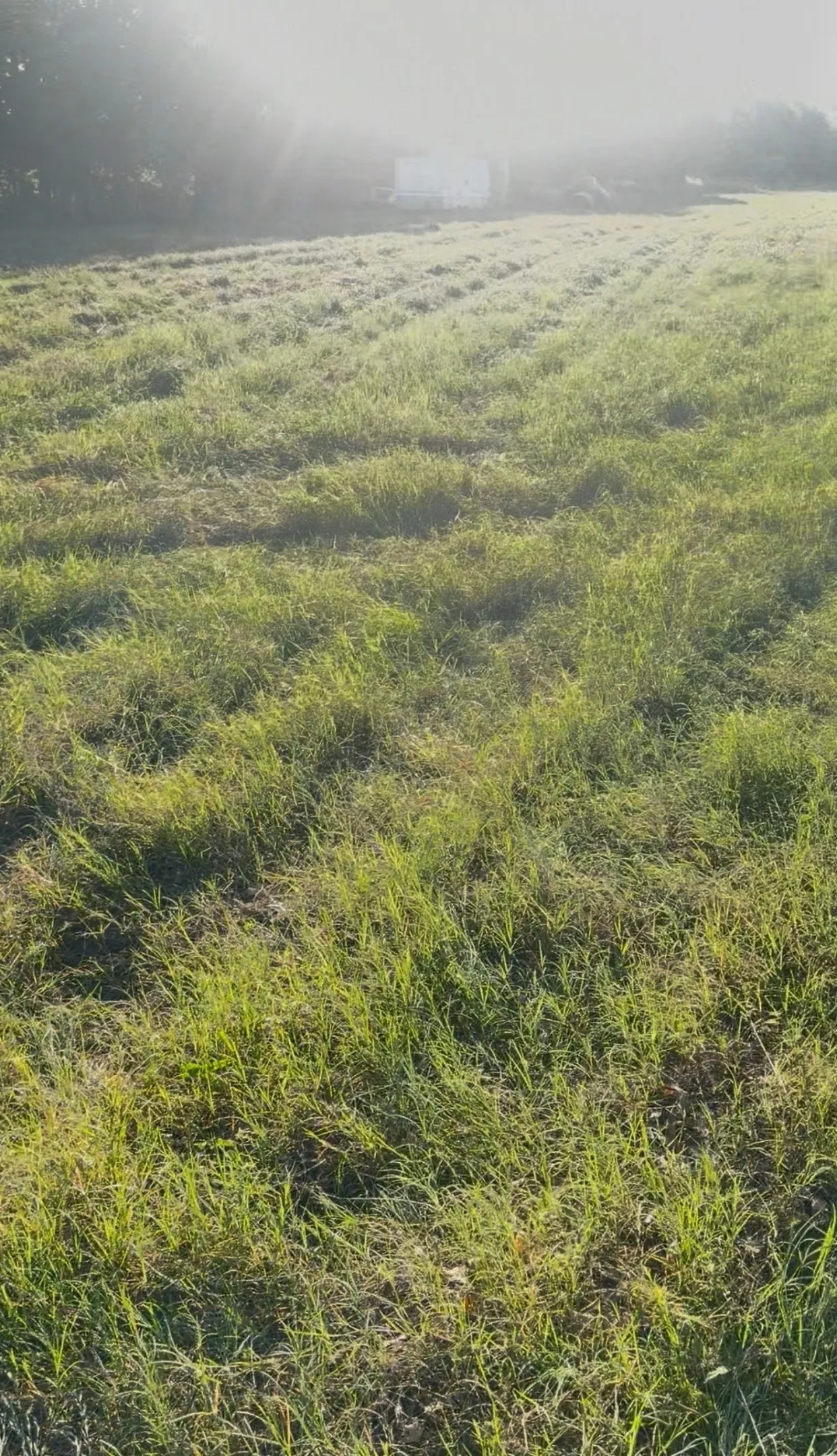 Ranch For Sale in Kaufman County , 0000 Fm-2728 Road 3, Terrell, Texas 75161, 0, 0, Garage spaces, 0 Sqft, built in 0, mls#21388959, Real Estate Agent in Terrell, Homes For Sale in Kaufman county, Homes For Sale in Terrell, Realtor in Terrell Texas, Real Estate Brokerage Independent Realty Texas, Luminita Cordes Realtor