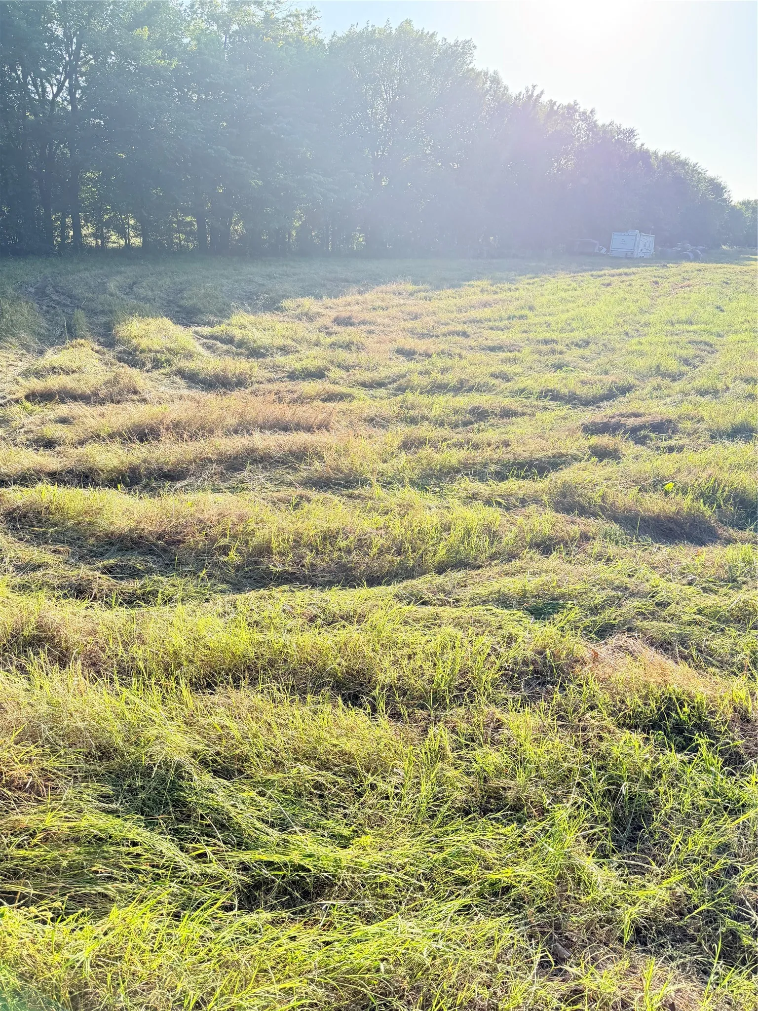 Ranch For Sale in Kaufman County , 0000 Fm-2728 Road 3, Terrell, Texas 75161, 0, 0, Garage spaces, 0 Sqft, built in 0, mls#21388959, Real Estate Agent in Terrell, Homes For Sale in Kaufman county, Homes For Sale in Terrell, Realtor in Terrell Texas, Real Estate Brokerage Independent Realty Texas, Luminita Cordes Realtor