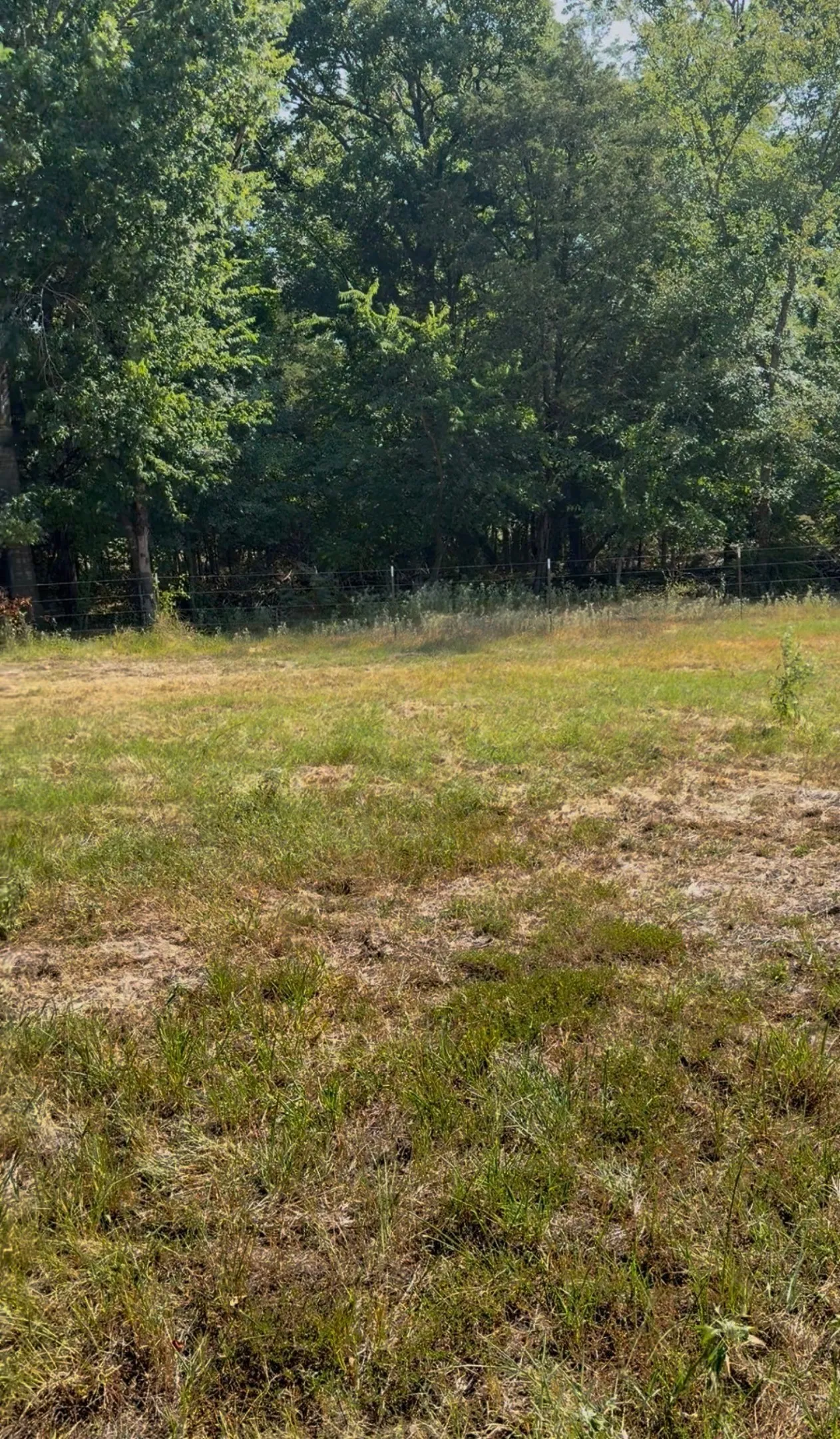 Ranch For Sale in Kaufman County , 0000 Fm-2728 Road 3, Terrell, Texas 75161, 0, 0, Garage spaces, 0 Sqft, built in 0, mls#21388959, Real Estate Agent in Terrell, Homes For Sale in Kaufman county, Homes For Sale in Terrell, Realtor in Terrell Texas, Real Estate Brokerage Independent Realty Texas, Luminita Cordes Realtor
