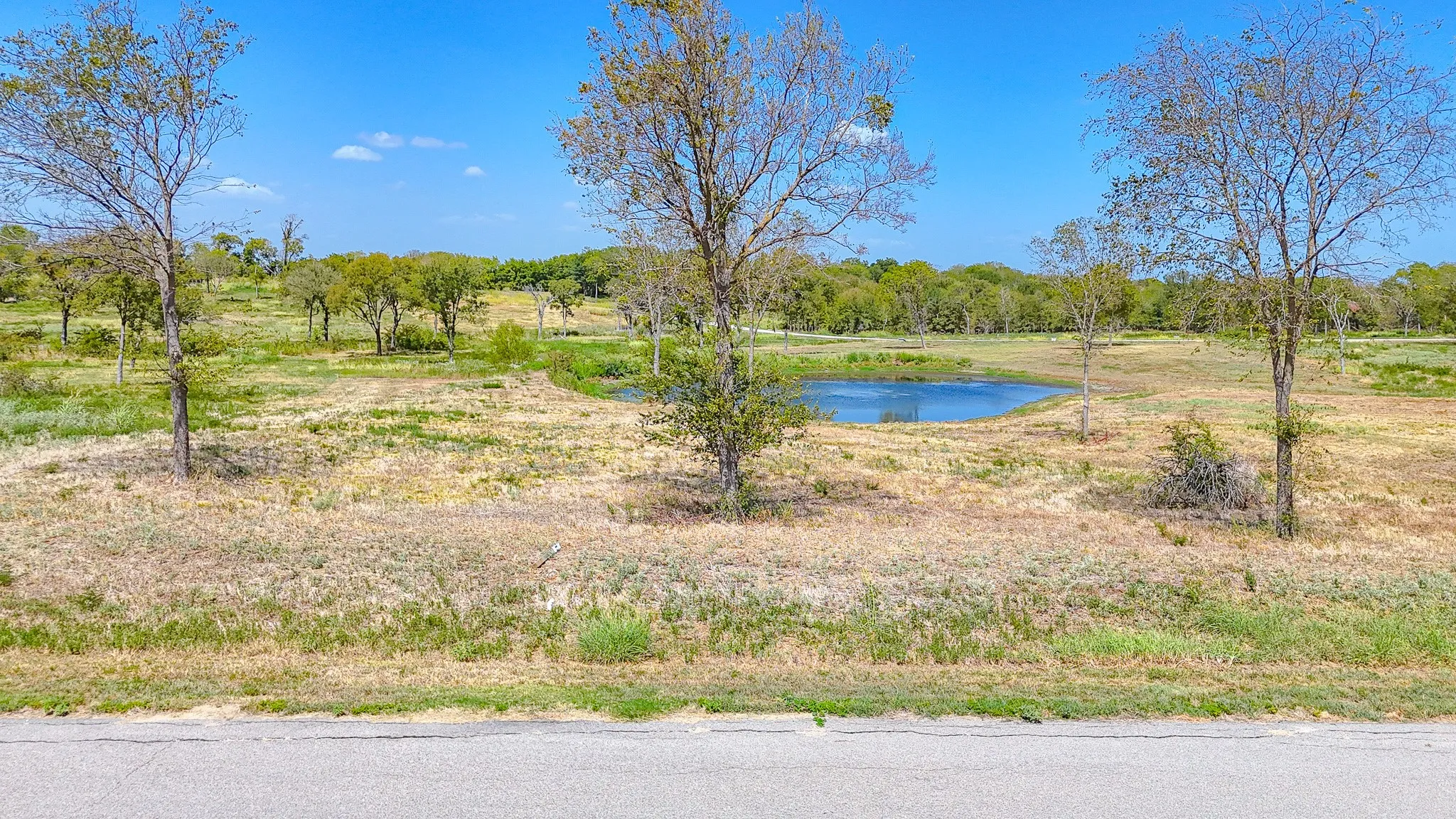 Unimproved Land For Sale in Navarro County , Lot 37 Chambers Bay, Kerens, Texas 75144, 0, 0, Garage spaces, 0 Sqft, built in 0, mls#21388410, Real Estate Agent in Kerens, Homes For Sale in Navarro county, Homes For Sale in Kerens, Realtor in Kerens Texas, Real Estate Brokerage Independent Realty Texas, Luminita Cordes Realtor