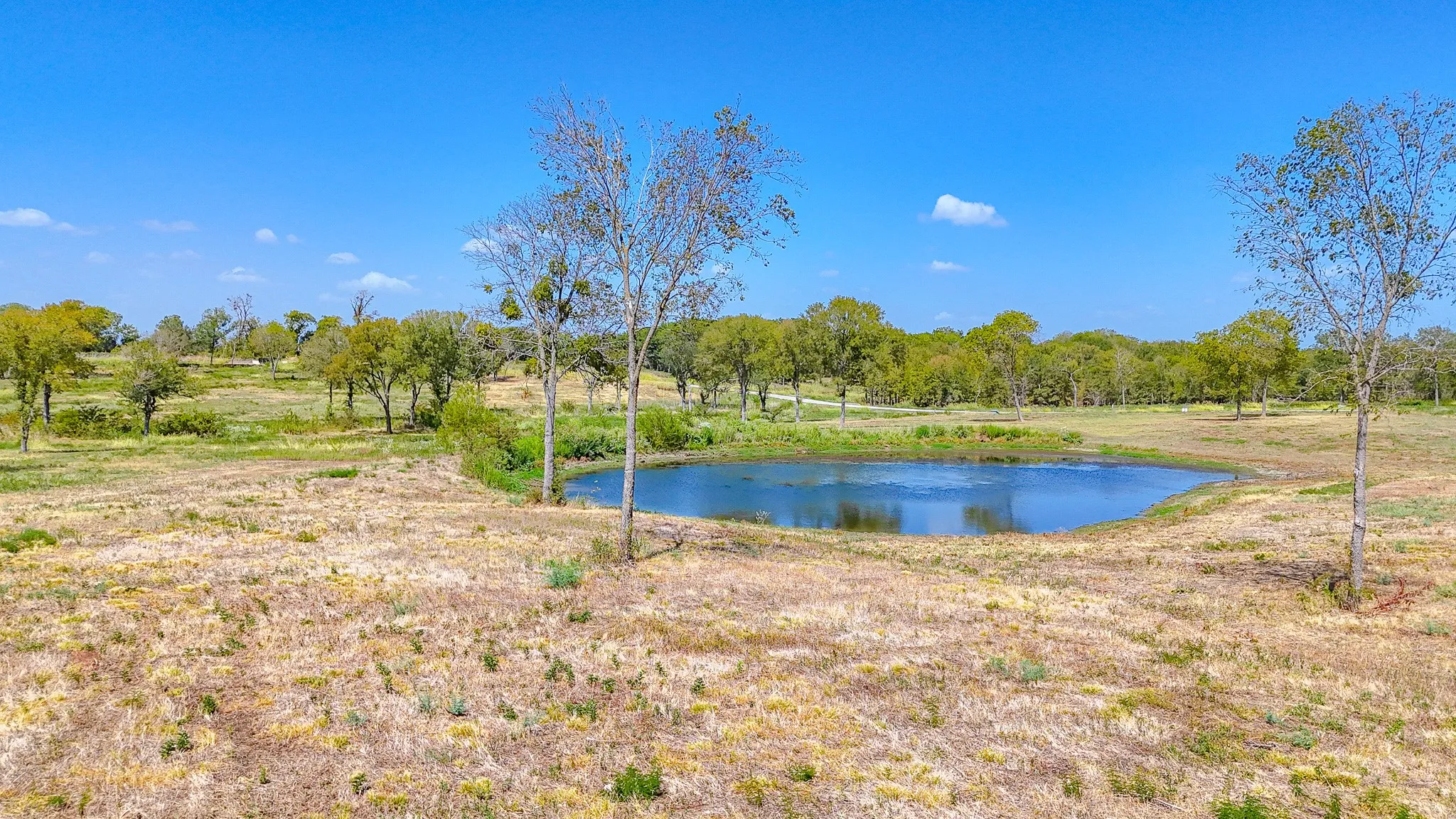 Unimproved Land For Sale in Navarro County , Lot 37 Chambers Bay, Kerens, Texas 75144, 0, 0, Garage spaces, 0 Sqft, built in 0, mls#21388410, Real Estate Agent in Kerens, Homes For Sale in Navarro county, Homes For Sale in Kerens, Realtor in Kerens Texas, Real Estate Brokerage Independent Realty Texas, Luminita Cordes Realtor