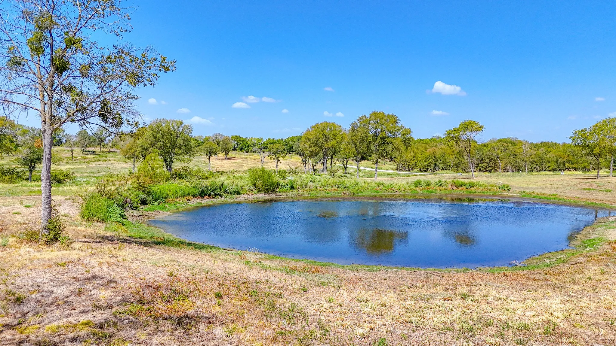 Unimproved Land For Sale in Navarro County , Lot 37 Chambers Bay, Kerens, Texas 75144, 0, 0, Garage spaces, 0 Sqft, built in 0, mls#21388410, Real Estate Agent in Kerens, Homes For Sale in Navarro county, Homes For Sale in Kerens, Realtor in Kerens Texas, Real Estate Brokerage Independent Realty Texas, Luminita Cordes Realtor