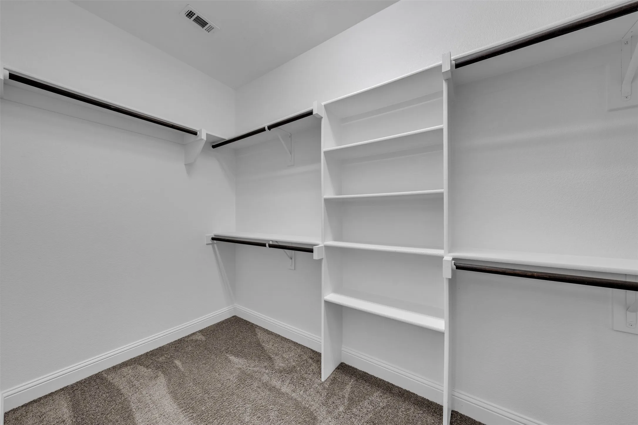 Built-in shelving with multiple levels, extensive hanging rods, and carpet flooring