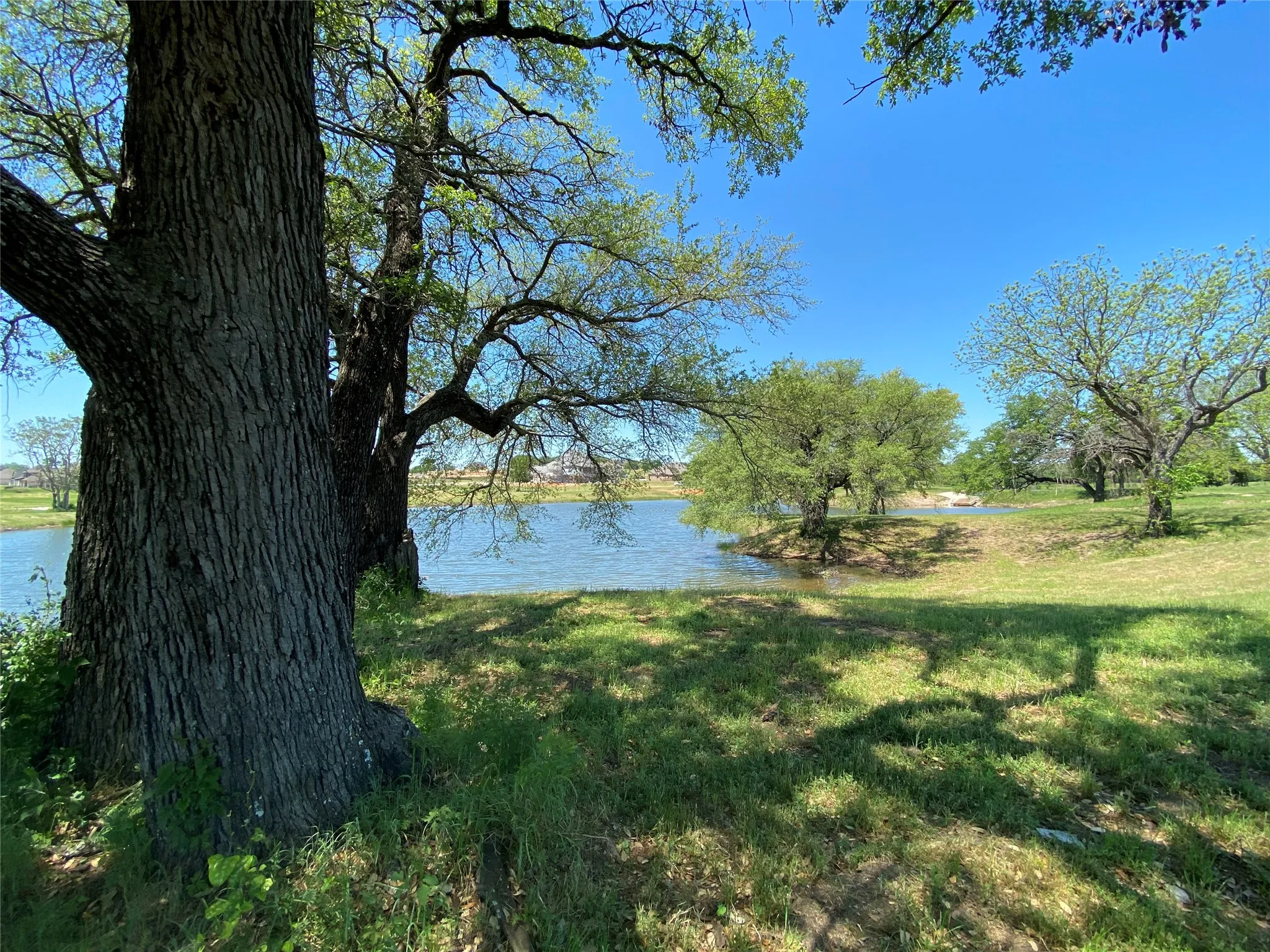 Community area
