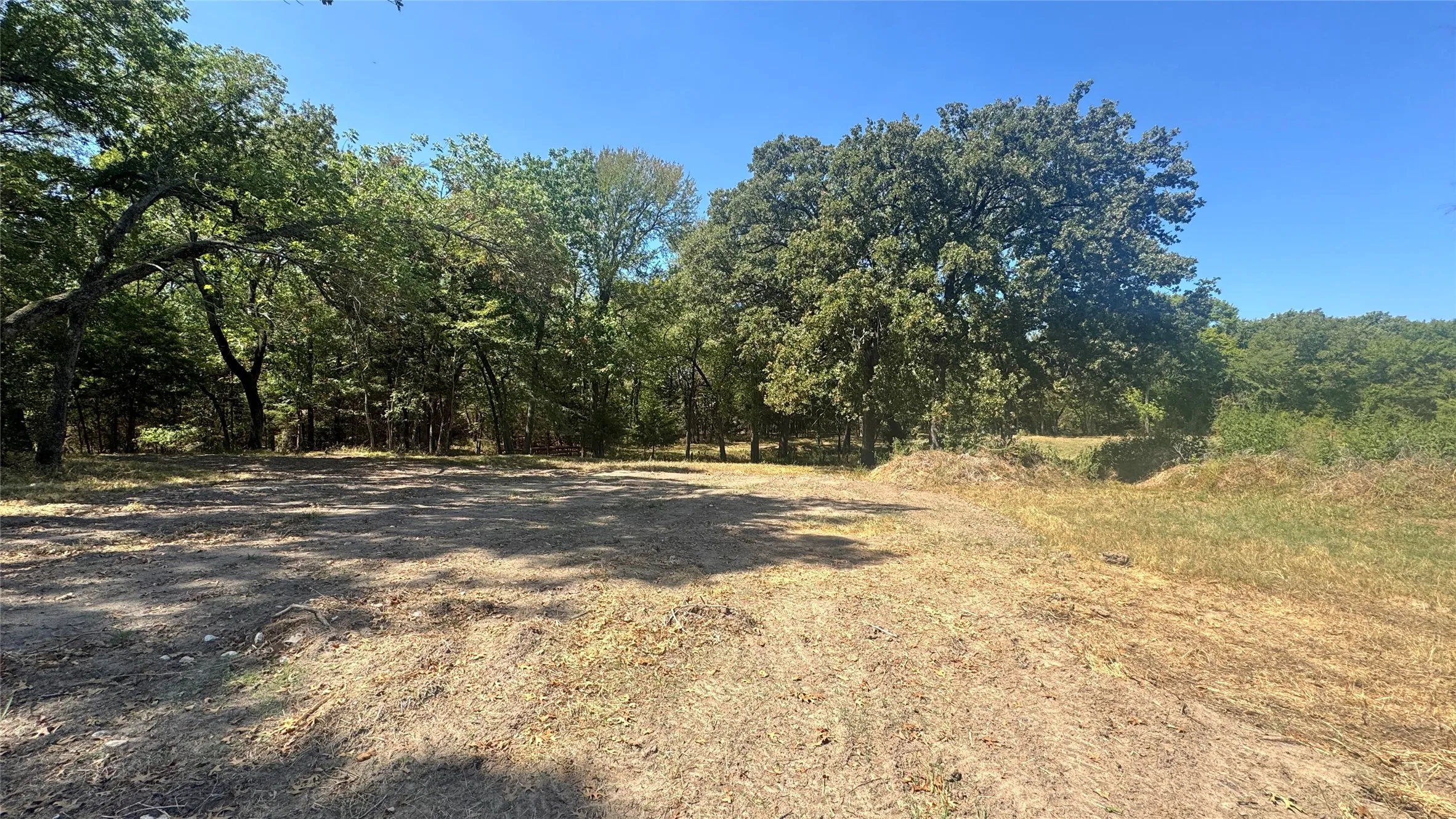 Unimproved Land For Sale in Rains County , 383 RS County Road 1605, Point, Texas 75472, 0, 0, Garage spaces, 0 Sqft, built in 0, mls#21388987, Real Estate Agent in Point, Homes For Sale in Rains county, Homes For Sale in Point, Realtor in Point Texas, Real Estate Brokerage Independent Realty Texas, Luminita Cordes Realtor