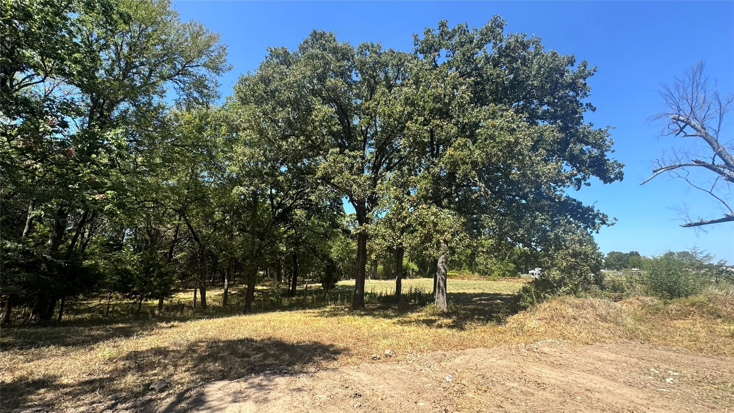 Unimproved Land For Sale in Rains County , 383 RS County Road 1605, Point, Texas 75472, 0, 0, Garage spaces, 0 Sqft, built in 0, mls#21388987, Real Estate Agent in Point, Homes For Sale in Rains county, Homes For Sale in Point, Realtor in Point Texas, Real Estate Brokerage Independent Realty Texas, Luminita Cordes Realtor