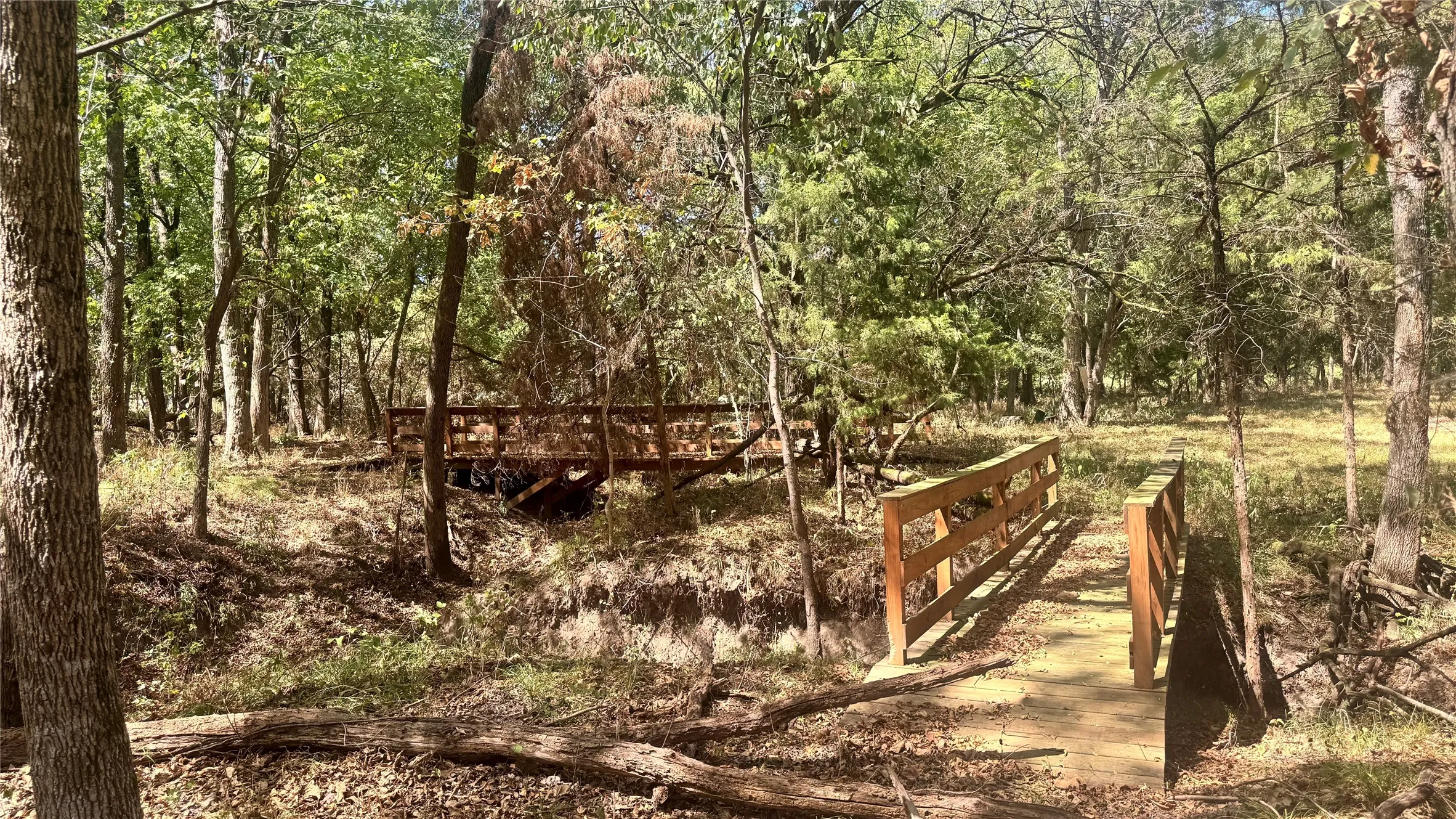 Unimproved Land For Sale in Rains County , 383 RS County Road 1605, Point, Texas 75472, 0, 0, Garage spaces, 0 Sqft, built in 0, mls#21388987, Real Estate Agent in Point, Homes For Sale in Rains county, Homes For Sale in Point, Realtor in Point Texas, Real Estate Brokerage Independent Realty Texas, Luminita Cordes Realtor