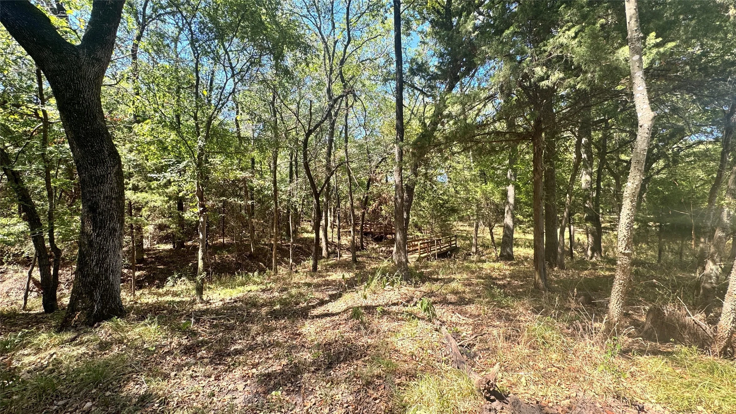 Unimproved Land For Sale in Rains County , 383 RS County Road 1605, Point, Texas 75472, 0, 0, Garage spaces, 0 Sqft, built in 0, mls#21388987, Real Estate Agent in Point, Homes For Sale in Rains county, Homes For Sale in Point, Realtor in Point Texas, Real Estate Brokerage Independent Realty Texas, Luminita Cordes Realtor