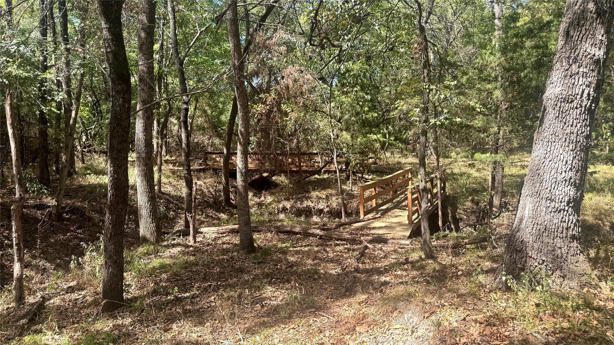 Unimproved Land For Sale in Rains County , 383 RS County Road 1605, Point, Texas 75472, 0, 0, Garage spaces, 0 Sqft, built in 0, mls#21388987, Real Estate Agent in Point, Homes For Sale in Rains county, Homes For Sale in Point, Realtor in Point Texas, Real Estate Brokerage Independent Realty Texas, Luminita Cordes Realtor