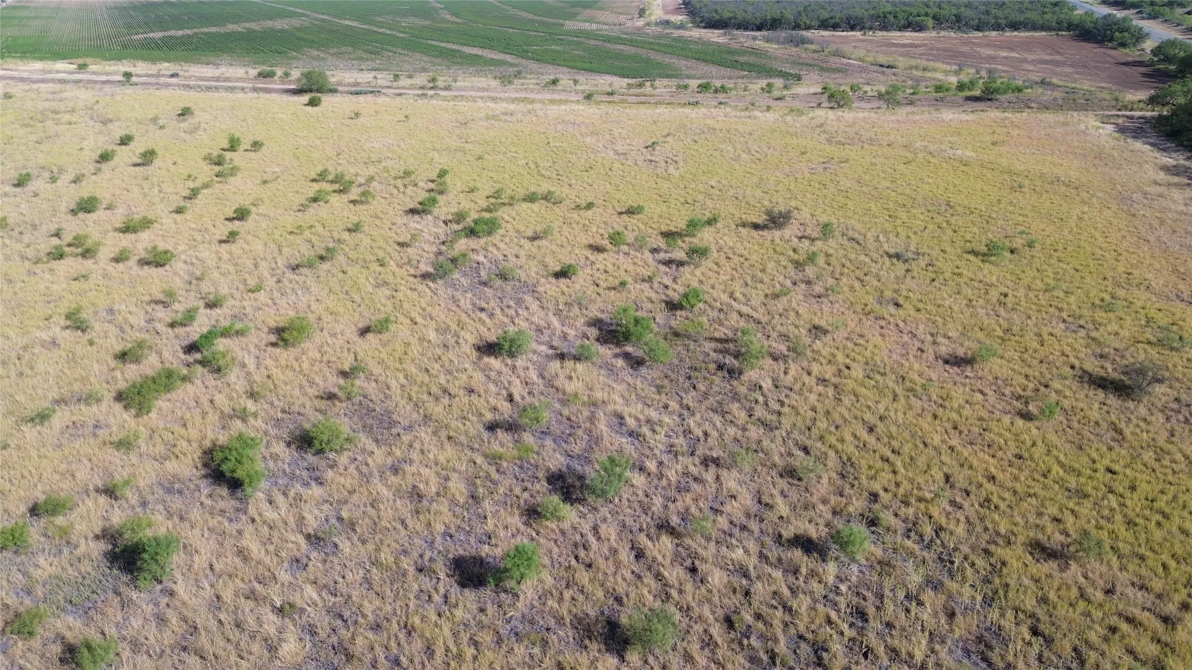 Ranch For Sale in Runnels County , 3196 FM 2111, Ballinger, Texas 76821, 0, 0, Garage spaces, 0 Sqft, built in 0, mls#21387437, Real Estate Agent in Ballinger, Homes For Sale in Runnels county, Homes For Sale in Ballinger, Realtor in Ballinger Texas, Real Estate Brokerage Independent Realty Texas, Luminita Cordes Realtor