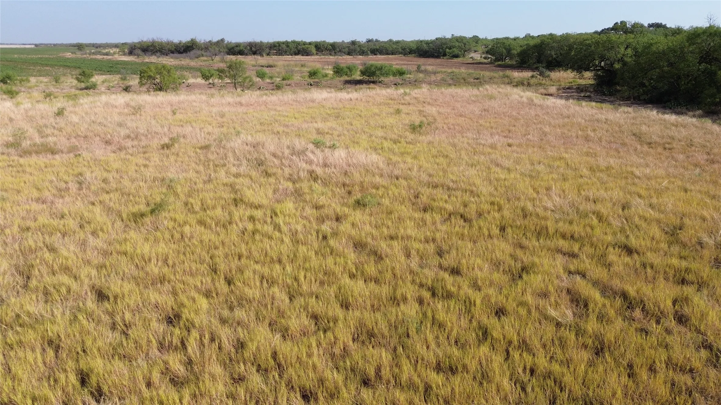 Ranch For Sale in Runnels County , 3196 FM 2111, Ballinger, Texas 76821, 0, 0, Garage spaces, 0 Sqft, built in 0, mls#21387437, Real Estate Agent in Ballinger, Homes For Sale in Runnels county, Homes For Sale in Ballinger, Realtor in Ballinger Texas, Real Estate Brokerage Independent Realty Texas, Luminita Cordes Realtor