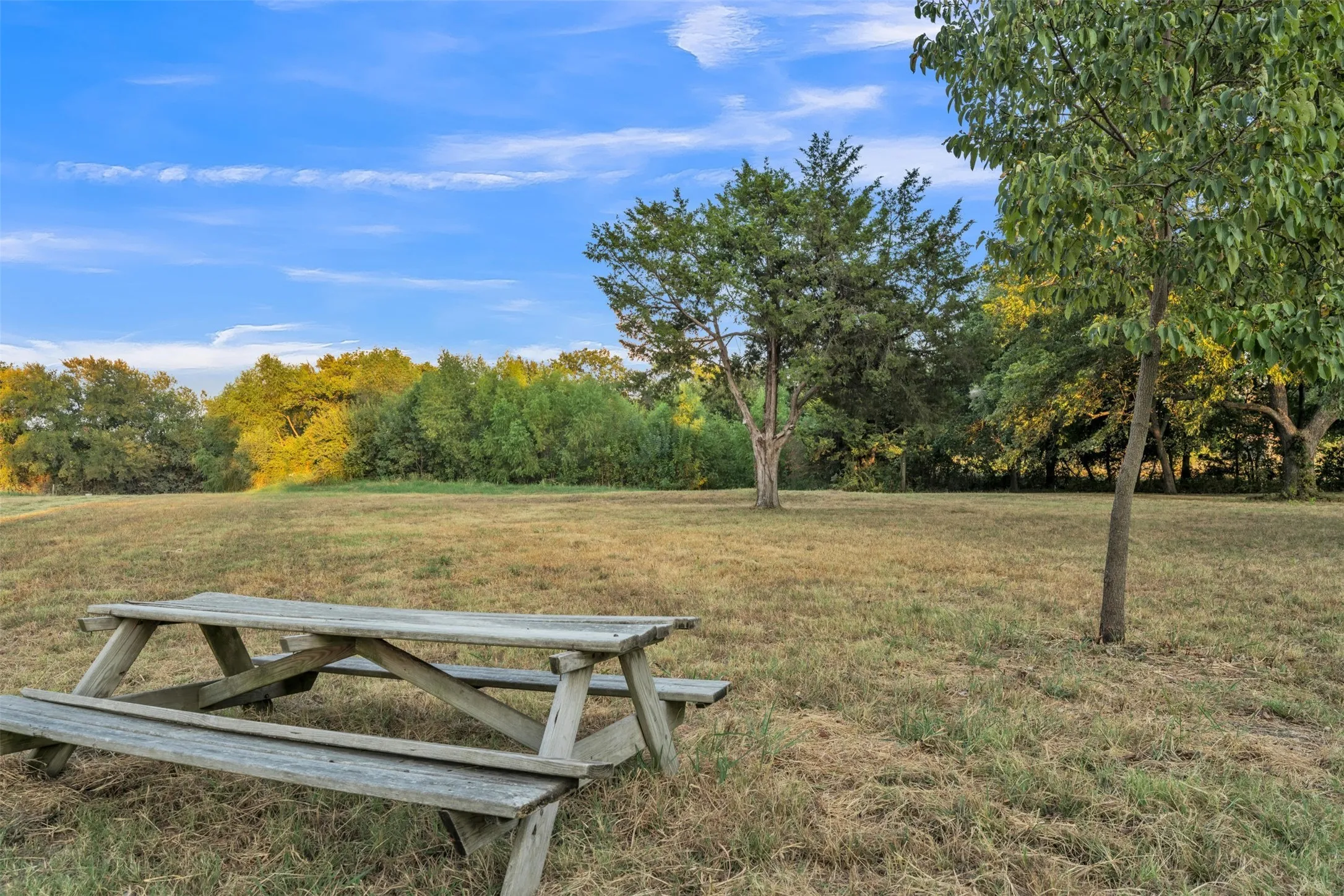 Expansive outdoor space featuring a picnic table, mature trees, and natural landscaping