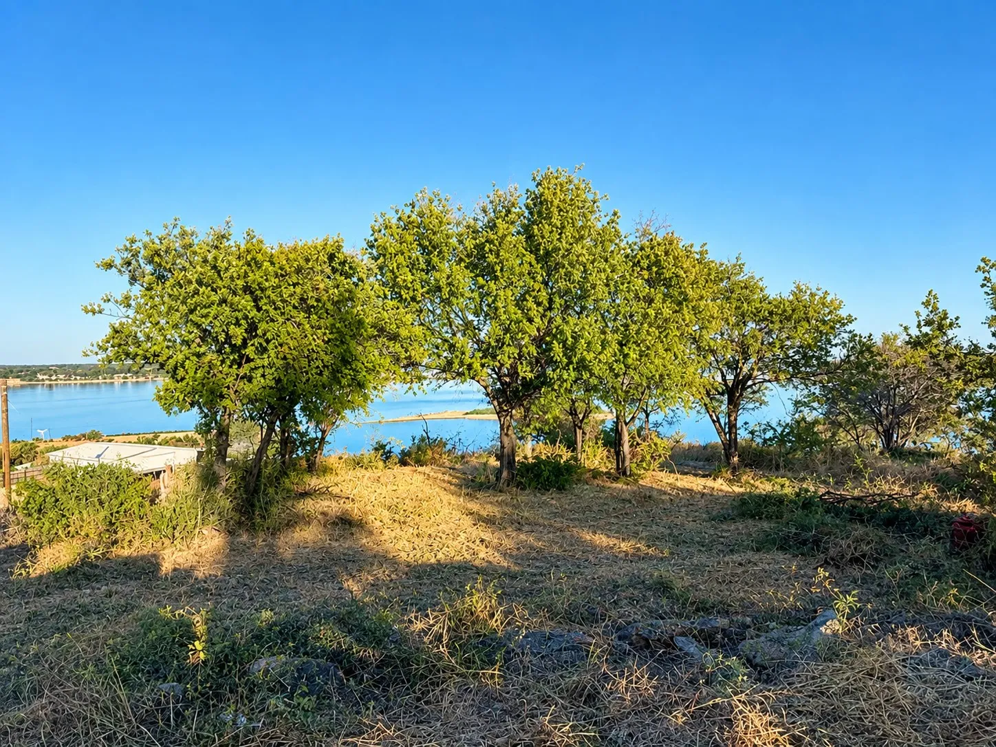 Unimproved Land For Sale in Wise County , 14 Lake House Drive, Bridgeport, Texas 76426, 0, 0, Garage spaces, 0 Sqft, built in 0, mls#21385841, Real Estate Agent in Bridgeport, Homes For Sale in Wise county, Homes For Sale in Bridgeport, Realtor in Bridgeport Texas, Real Estate Brokerage Independent Realty Texas, Luminita Cordes Realtor