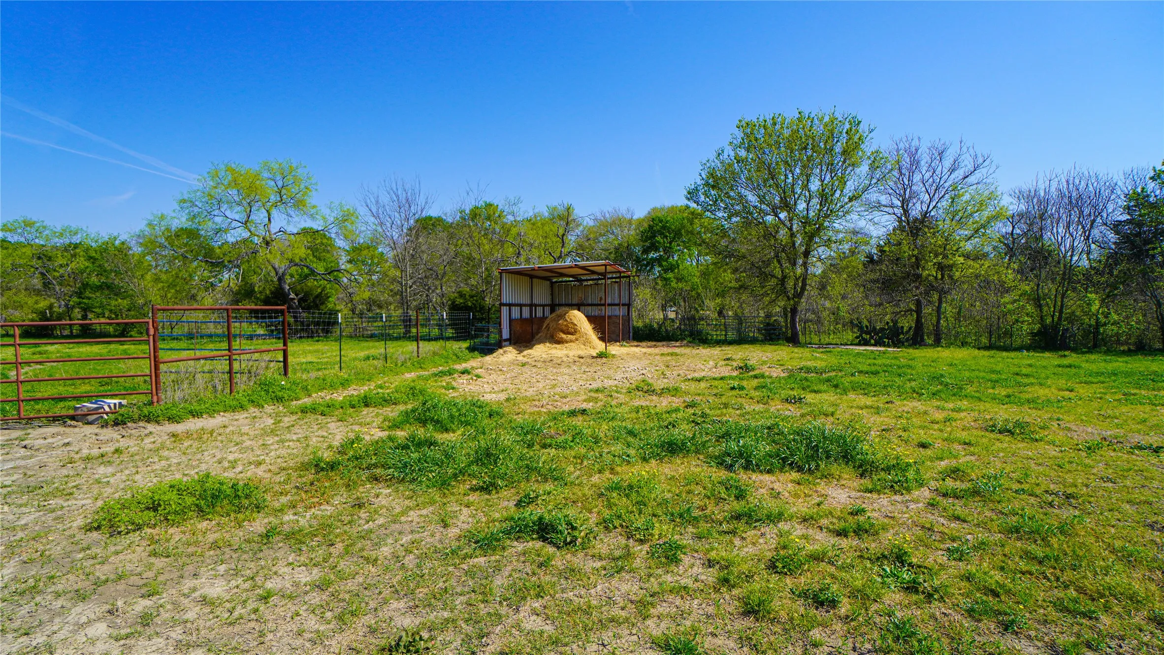 Single Family Residence For Sale in Kaufman County , 19761 N State Highway 34, Terrell, Texas 75161, 3 Bedroom, 2 Bathroom, Garage spaces, 1,720 Sqft, built in 1971, mls#21387996, Real Estate Agent in Terrell, Homes For Sale in Kaufman county, Homes For Sale in Terrell, Realtor in Terrell Texas, Real Estate Brokerage Independent Realty Texas, Luminita Cordes Realtor