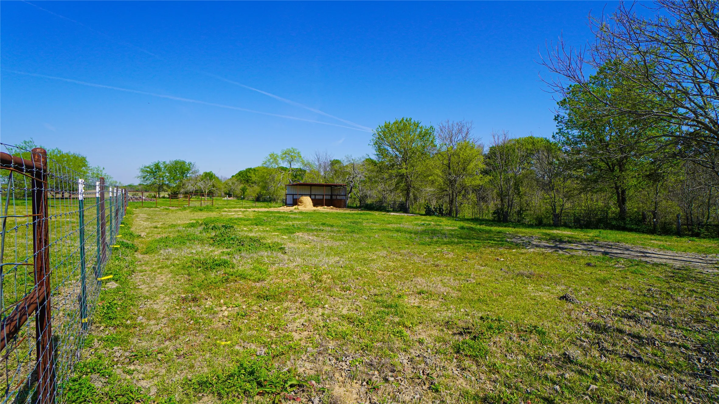 Single Family Residence For Sale in Kaufman County , 19761 N State Highway 34, Terrell, Texas 75161, 3 Bedroom, 2 Bathroom, Garage spaces, 1,720 Sqft, built in 1971, mls#21387996, Real Estate Agent in Terrell, Homes For Sale in Kaufman county, Homes For Sale in Terrell, Realtor in Terrell Texas, Real Estate Brokerage Independent Realty Texas, Luminita Cordes Realtor