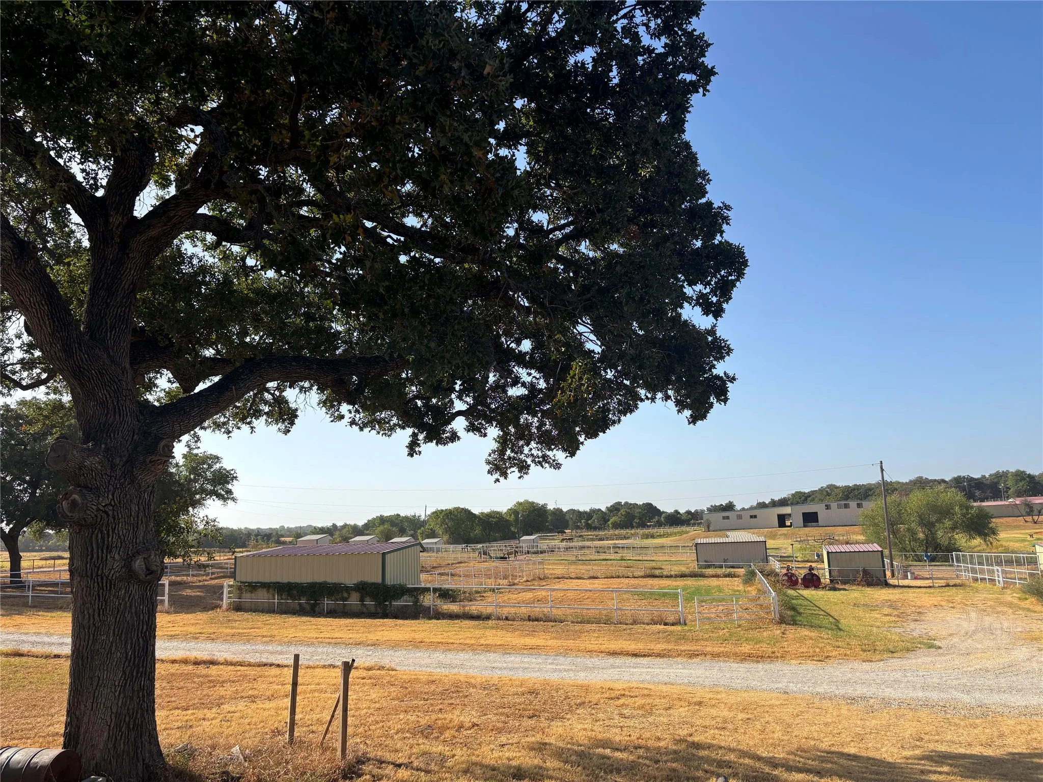 Expansive property featuring a mature tree, gravel drive, multiple outbuildings, and white fencing