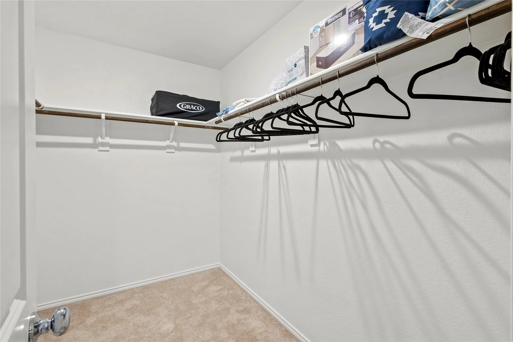 Walk-in closet with carpet flooring, white walls, and built-in shelving