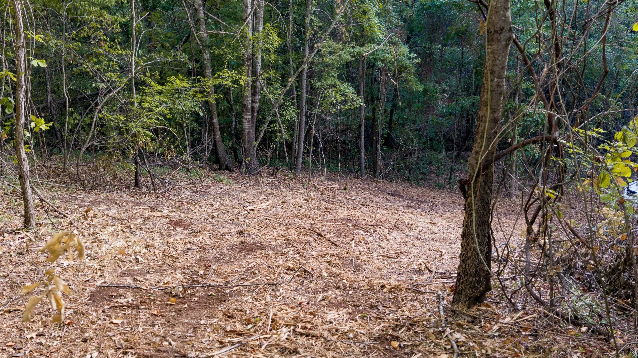 Unimproved Land For Sale in Smith County , TBD FM 2015, Tyler, Texas 75708, 0, 0, Garage spaces, 0 Sqft, built in 0, mls#21389056, Real Estate Agent in Tyler, Homes For Sale in Smith county, Homes For Sale in Tyler, Realtor in Tyler Texas, Real Estate Brokerage Independent Realty Texas, Luminita Cordes Realtor