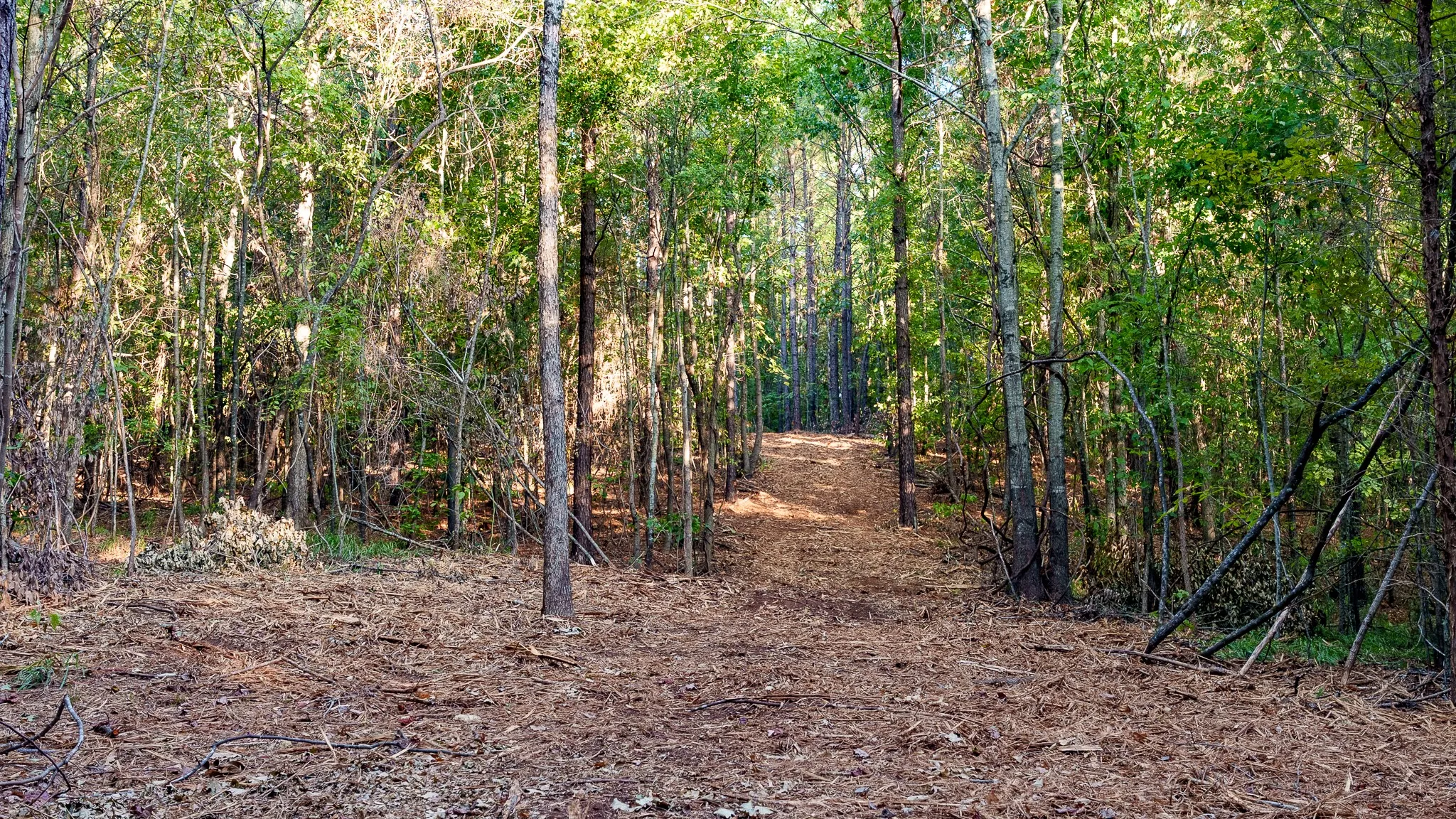 Unimproved Land For Sale in Smith County , TBD FM 2015, Tyler, Texas 75708, 0, 0, Garage spaces, 0 Sqft, built in 0, mls#21389056, Real Estate Agent in Tyler, Homes For Sale in Smith county, Homes For Sale in Tyler, Realtor in Tyler Texas, Real Estate Brokerage Independent Realty Texas, Luminita Cordes Realtor
