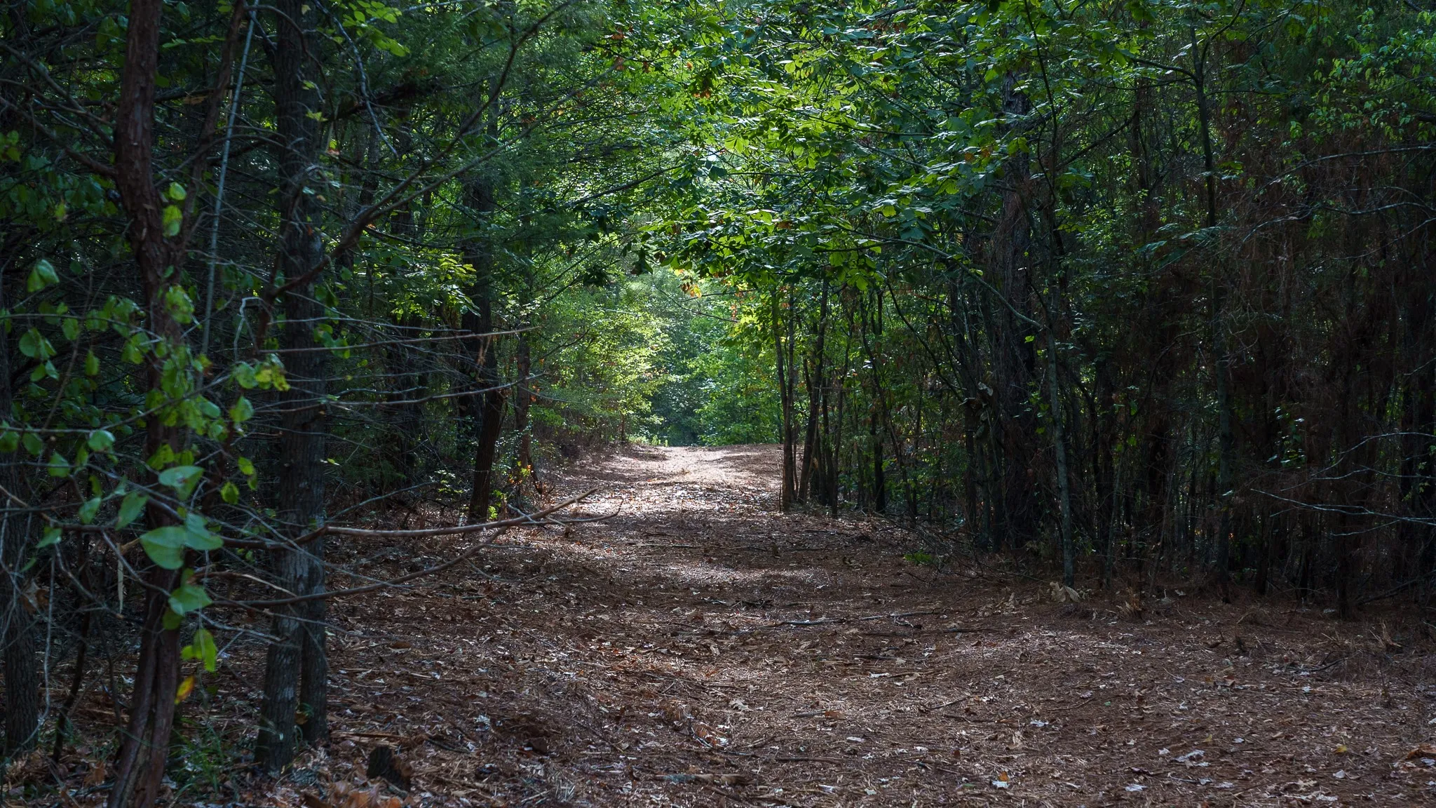 Trails