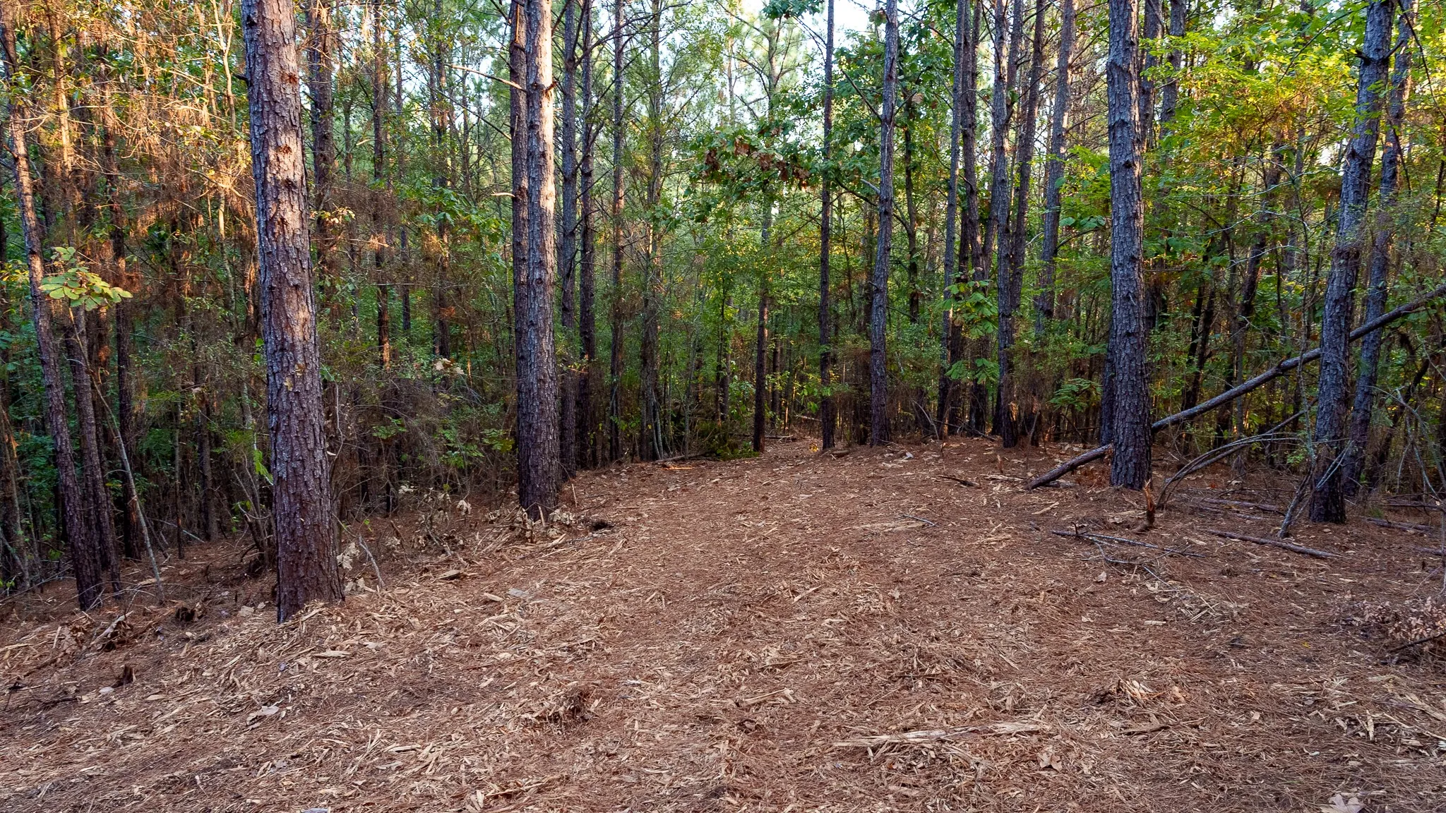Unimproved Land For Sale in Smith County , TBD FM 2015, Tyler, Texas 75708, 0, 0, Garage spaces, 0 Sqft, built in 0, mls#21389056, Real Estate Agent in Tyler, Homes For Sale in Smith county, Homes For Sale in Tyler, Realtor in Tyler Texas, Real Estate Brokerage Independent Realty Texas, Luminita Cordes Realtor