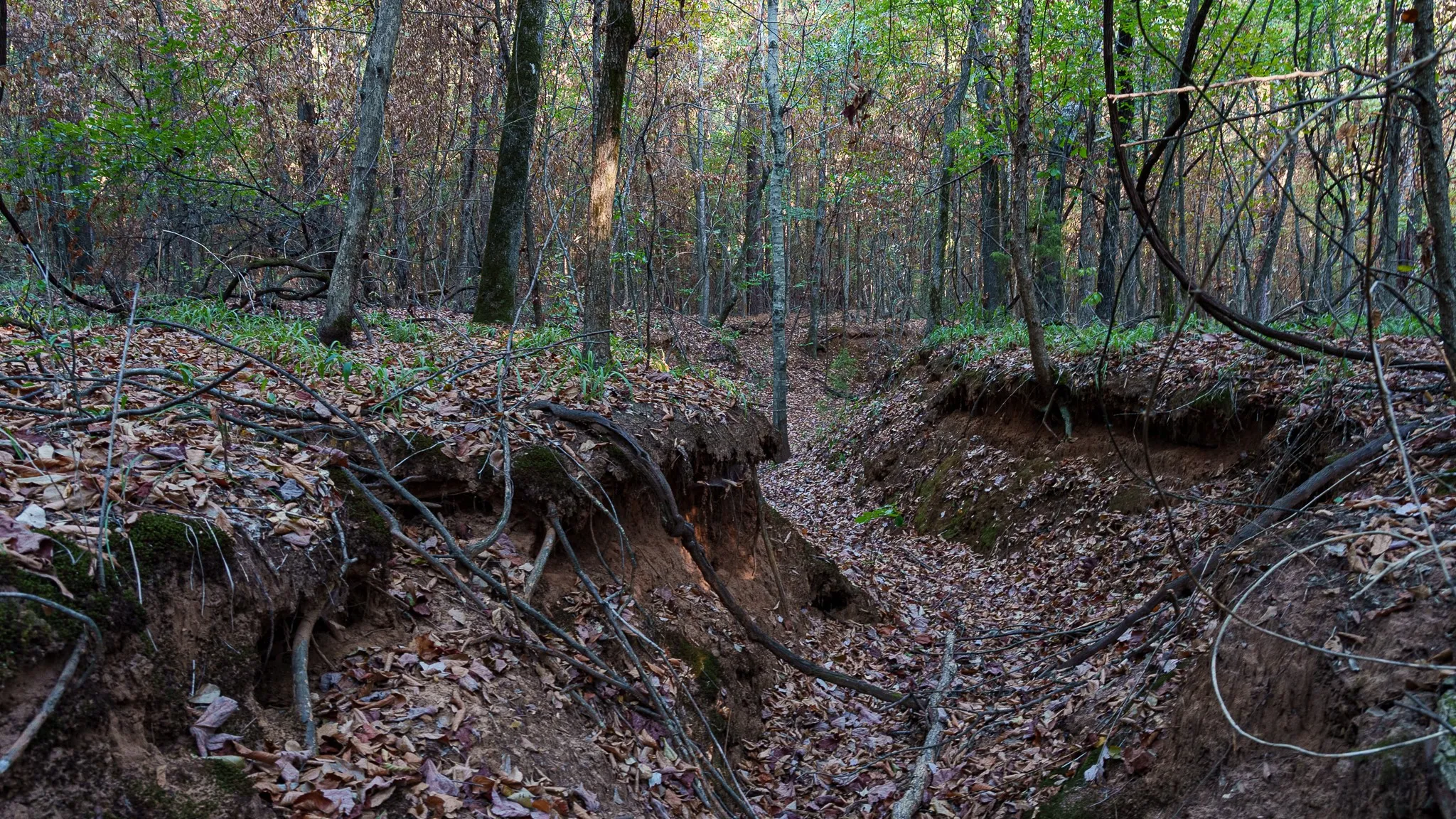 Creekbed