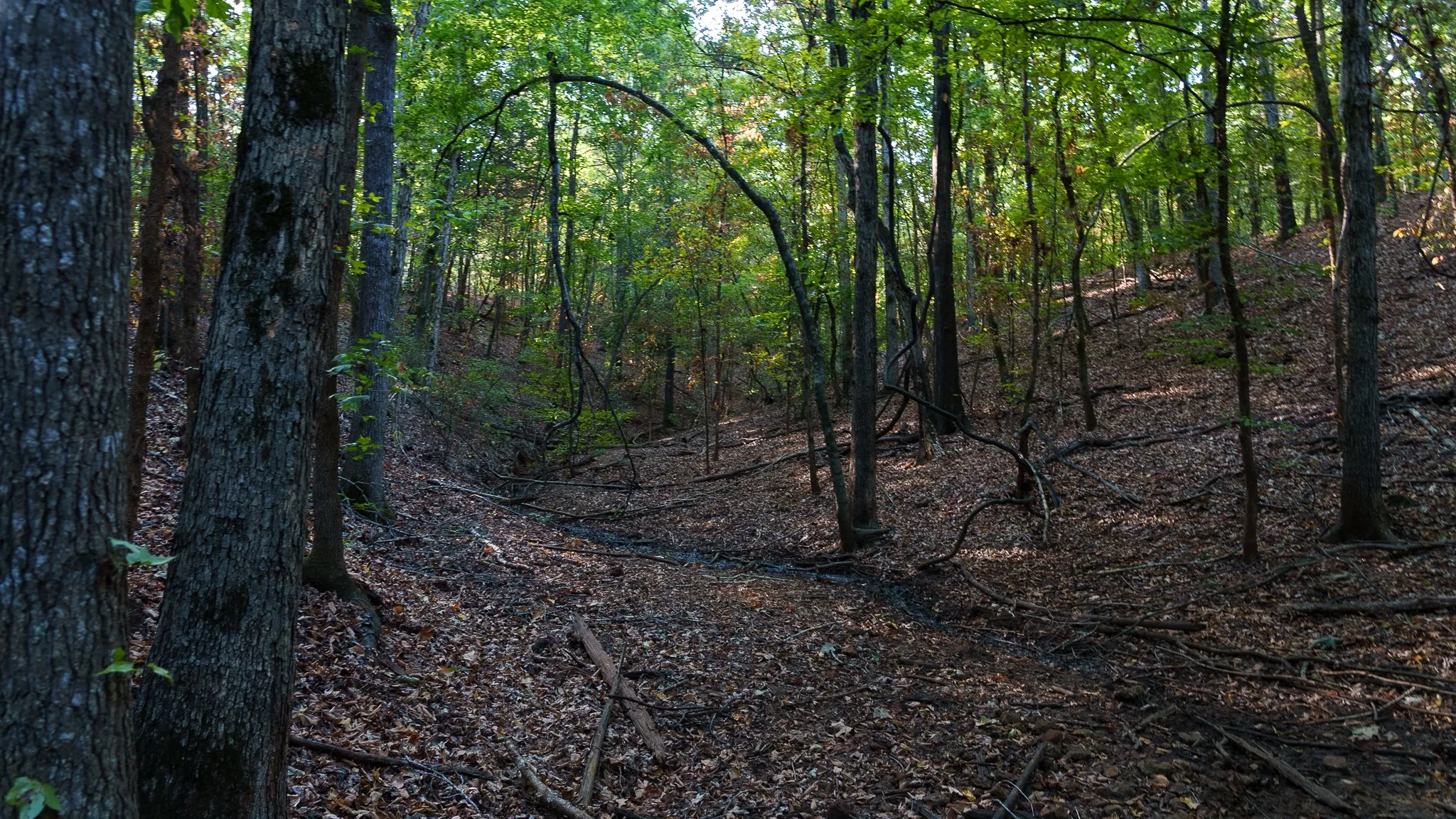 Unimproved Land For Sale in Smith County , TBD FM 2015, Tyler, Texas 75708, 0, 0, Garage spaces, 0 Sqft, built in 0, mls#21389056, Real Estate Agent in Tyler, Homes For Sale in Smith county, Homes For Sale in Tyler, Realtor in Tyler Texas, Real Estate Brokerage Independent Realty Texas, Luminita Cordes Realtor