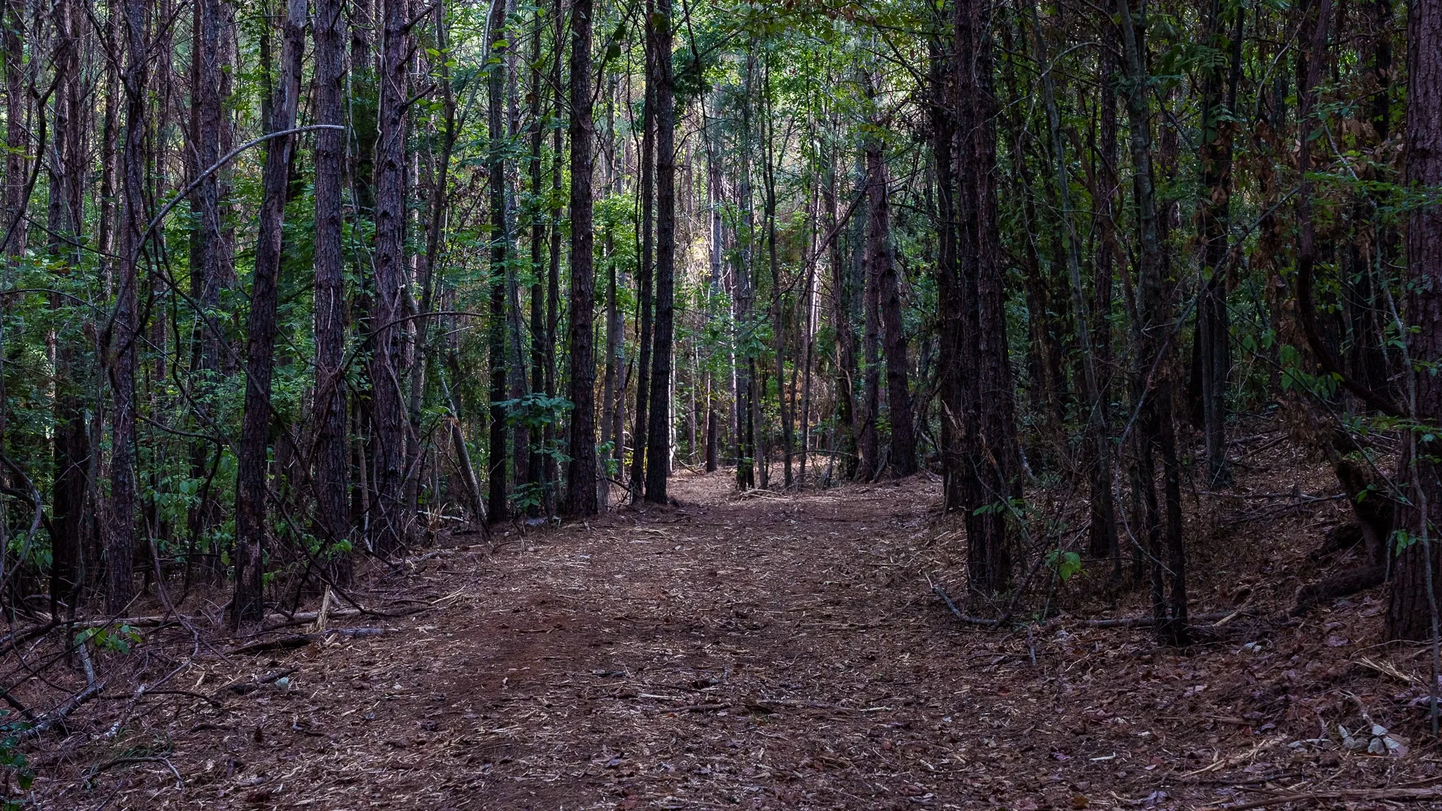 Trails