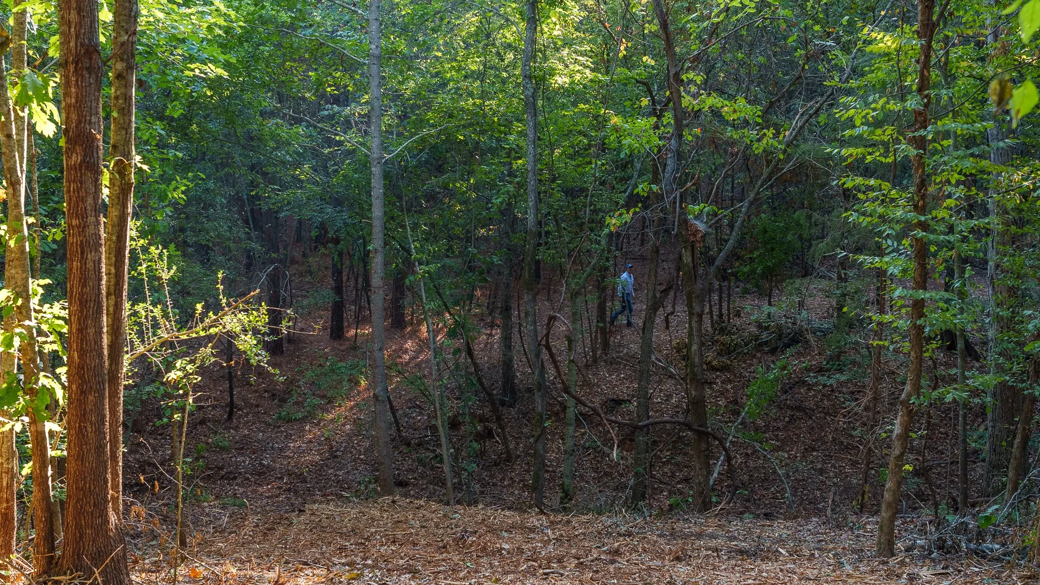 Unimproved Land For Sale in Smith County , TBD FM 2015, Tyler, Texas 75708, 0, 0, Garage spaces, 0 Sqft, built in 0, mls#21389056, Real Estate Agent in Tyler, Homes For Sale in Smith county, Homes For Sale in Tyler, Realtor in Tyler Texas, Real Estate Brokerage Independent Realty Texas, Luminita Cordes Realtor