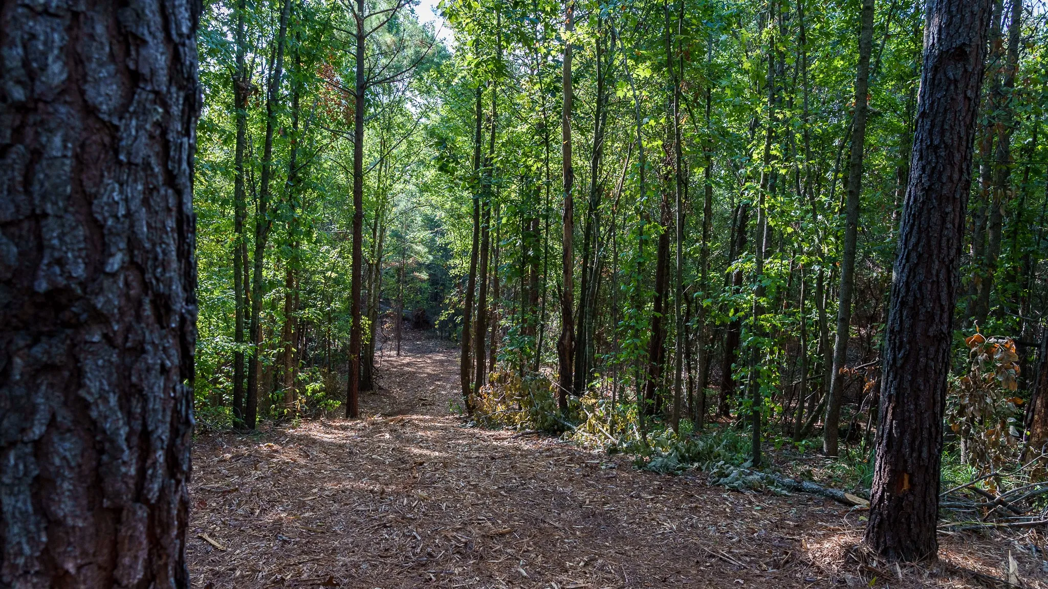 Trails