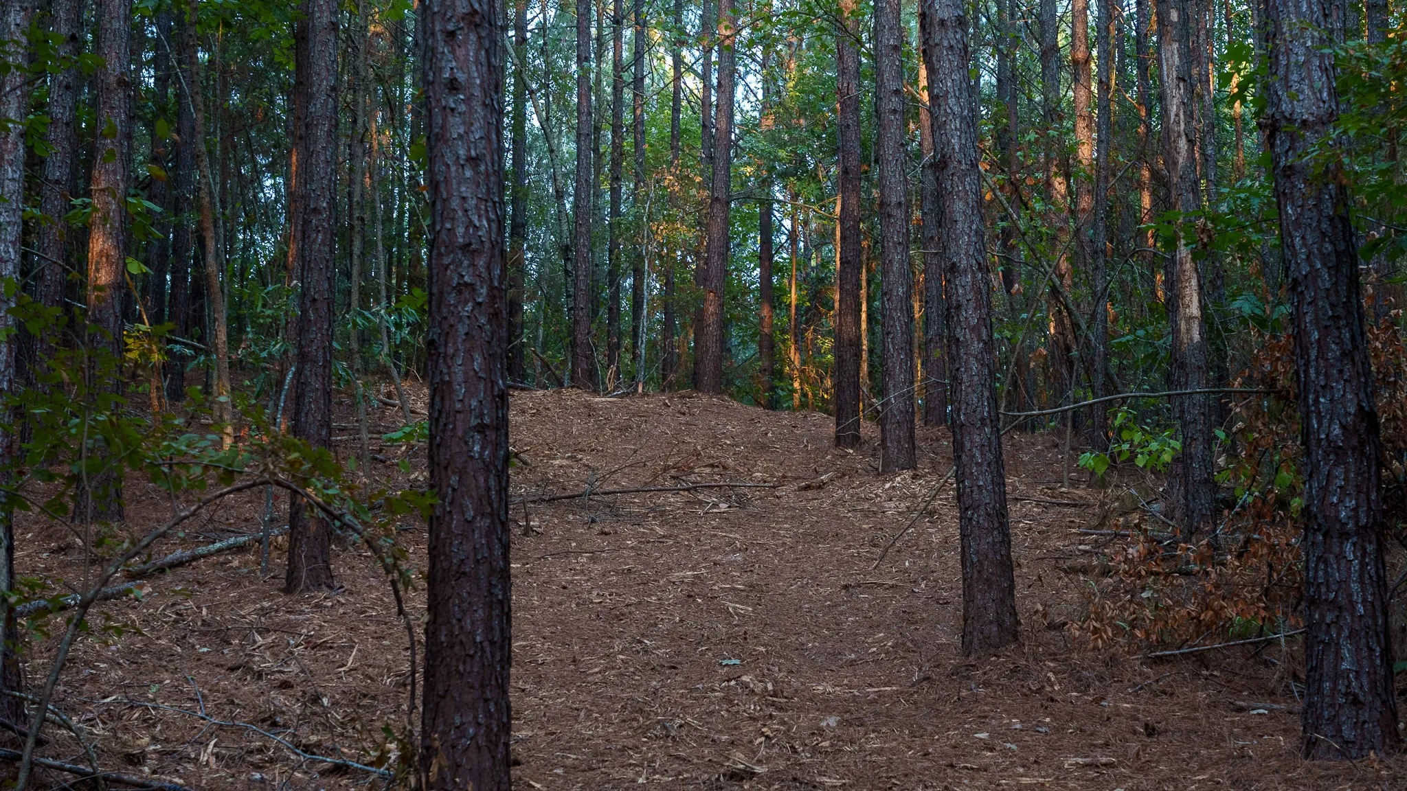 Unimproved Land For Sale in Smith County , TBD FM 2015, Tyler, Texas 75708, 0, 0, Garage spaces, 0 Sqft, built in 0, mls#21389056, Real Estate Agent in Tyler, Homes For Sale in Smith county, Homes For Sale in Tyler, Realtor in Tyler Texas, Real Estate Brokerage Independent Realty Texas, Luminita Cordes Realtor