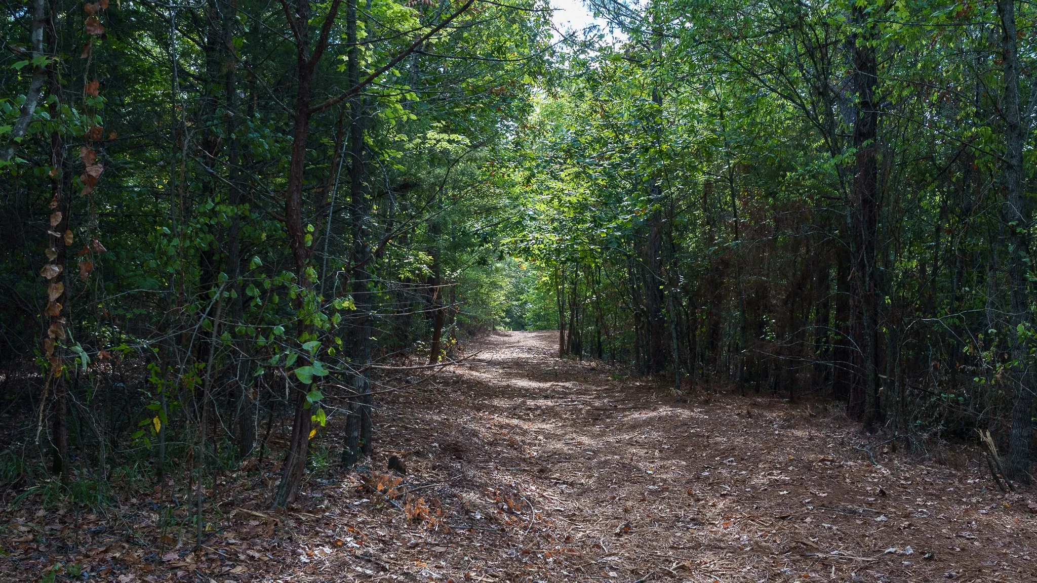 Trails