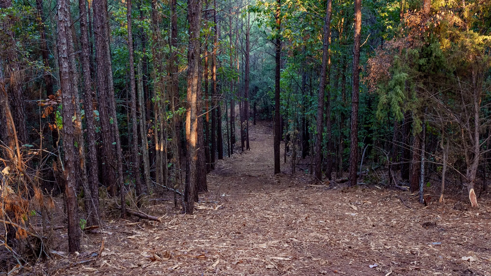 Unimproved Land For Sale in Smith County , TBD FM 2015, Tyler, Texas 75708, 0, 0, Garage spaces, 0 Sqft, built in 0, mls#21389056, Real Estate Agent in Tyler, Homes For Sale in Smith county, Homes For Sale in Tyler, Realtor in Tyler Texas, Real Estate Brokerage Independent Realty Texas, Luminita Cordes Realtor