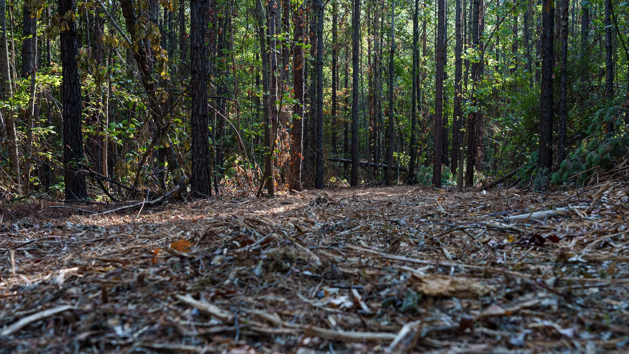 Unimproved Land For Sale in Smith County , TBD FM 2015, Tyler, Texas 75708, 0, 0, Garage spaces, 0 Sqft, built in 0, mls#21389056, Real Estate Agent in Tyler, Homes For Sale in Smith county, Homes For Sale in Tyler, Realtor in Tyler Texas, Real Estate Brokerage Independent Realty Texas, Luminita Cordes Realtor