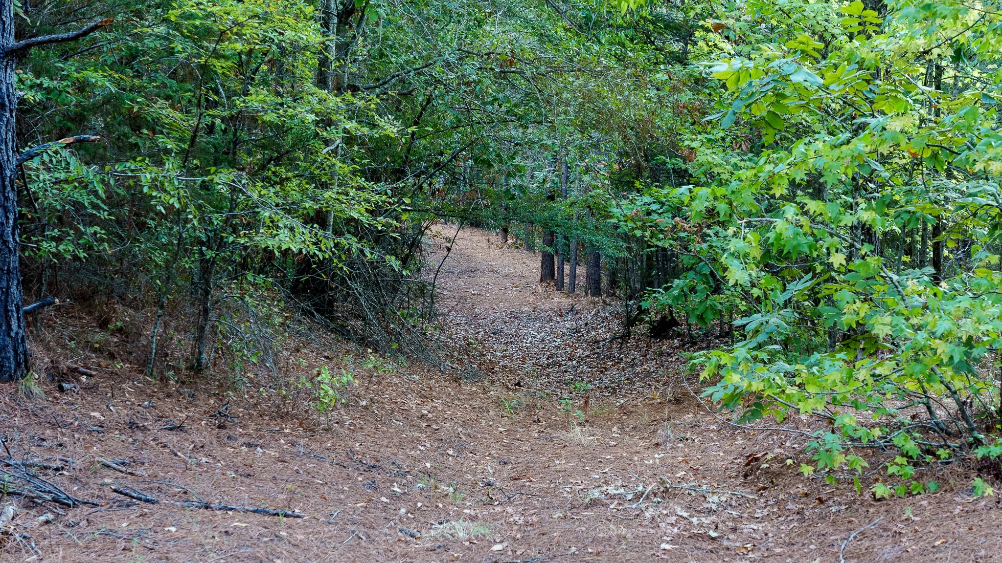 Trails
