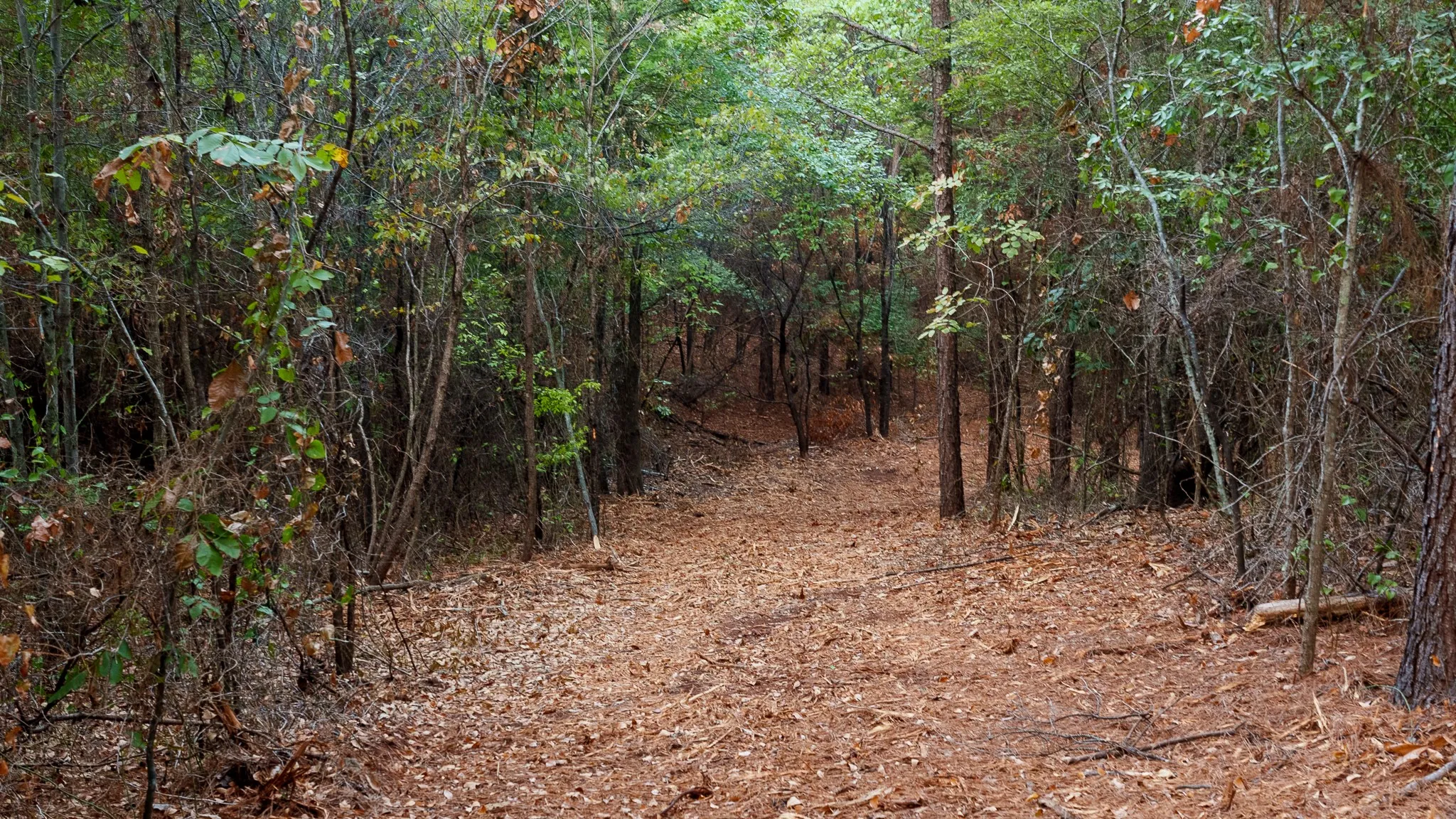 Unimproved Land For Sale in Smith County , TBD FM 2015, Tyler, Texas 75708, 0, 0, Garage spaces, 0 Sqft, built in 0, mls#21389056, Real Estate Agent in Tyler, Homes For Sale in Smith county, Homes For Sale in Tyler, Realtor in Tyler Texas, Real Estate Brokerage Independent Realty Texas, Luminita Cordes Realtor