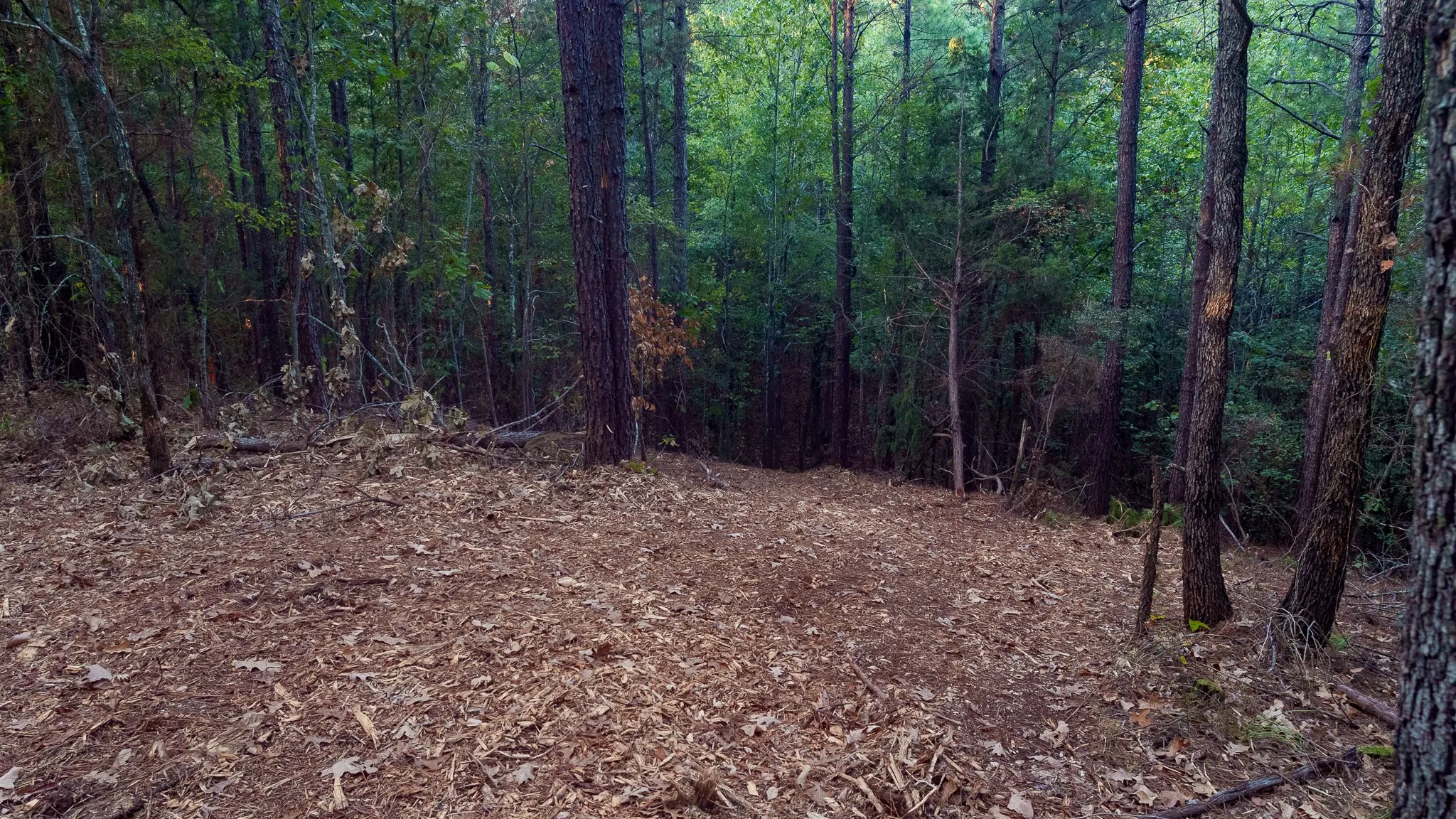 Unimproved Land For Sale in Smith County , TBD FM 2015, Tyler, Texas 75708, 0, 0, Garage spaces, 0 Sqft, built in 0, mls#21389056, Real Estate Agent in Tyler, Homes For Sale in Smith county, Homes For Sale in Tyler, Realtor in Tyler Texas, Real Estate Brokerage Independent Realty Texas, Luminita Cordes Realtor