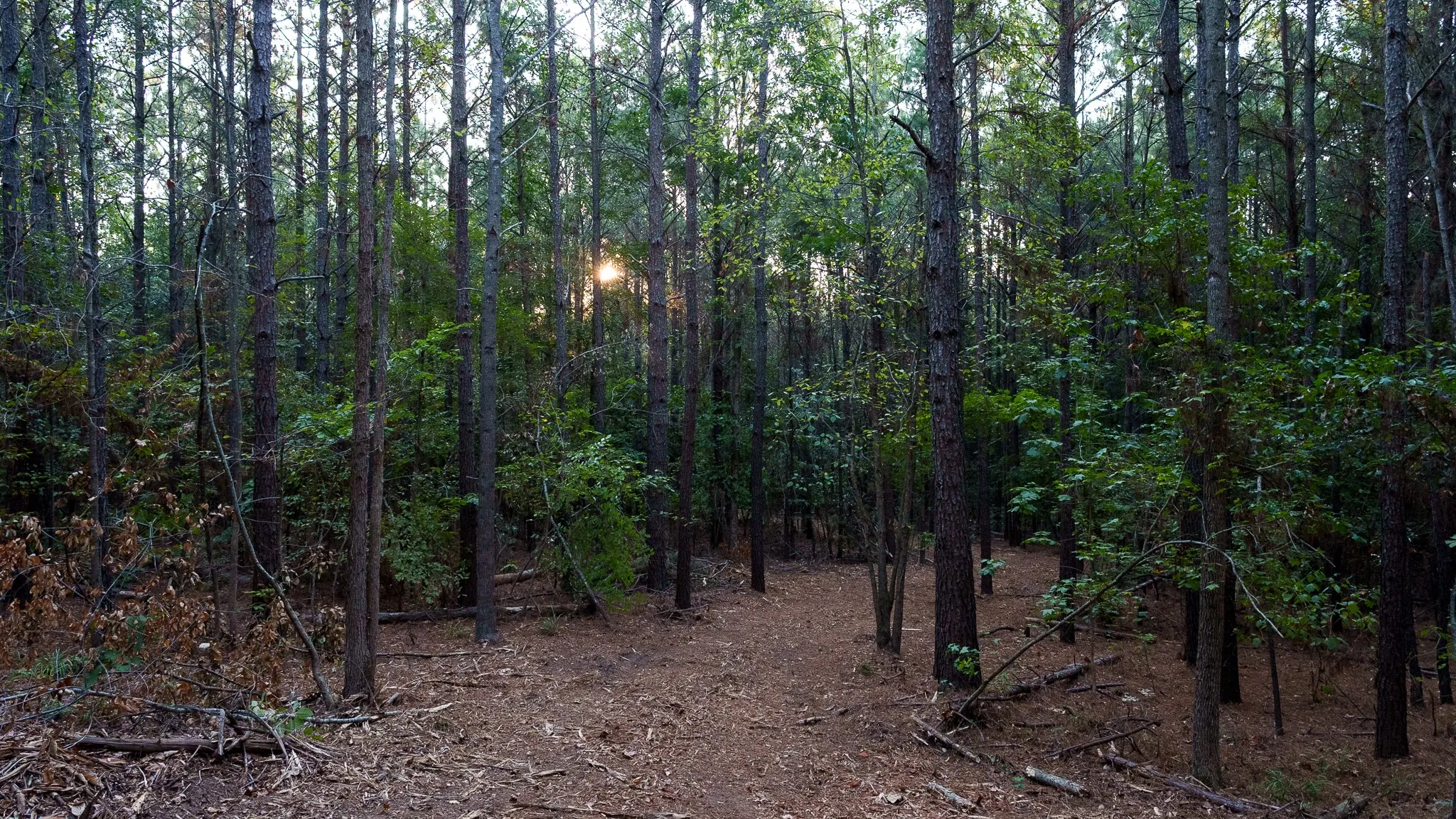 Unimproved Land For Sale in Smith County , TBD FM 2015, Tyler, Texas 75708, 0, 0, Garage spaces, 0 Sqft, built in 0, mls#21389056, Real Estate Agent in Tyler, Homes For Sale in Smith county, Homes For Sale in Tyler, Realtor in Tyler Texas, Real Estate Brokerage Independent Realty Texas, Luminita Cordes Realtor
