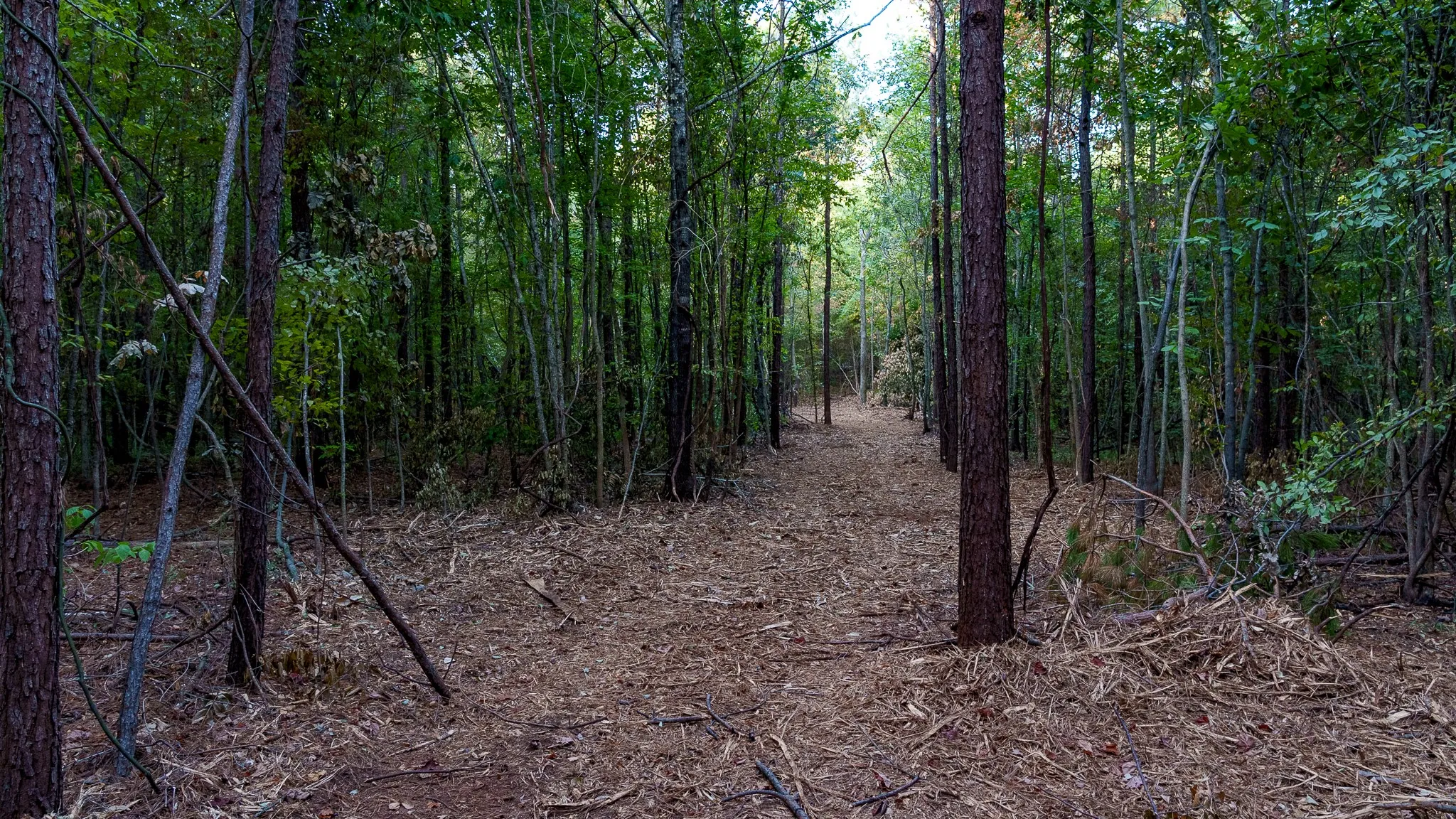 Unimproved Land For Sale in Smith County , TBD FM 2015, Tyler, Texas 75708, 0, 0, Garage spaces, 0 Sqft, built in 0, mls#21389056, Real Estate Agent in Tyler, Homes For Sale in Smith county, Homes For Sale in Tyler, Realtor in Tyler Texas, Real Estate Brokerage Independent Realty Texas, Luminita Cordes Realtor