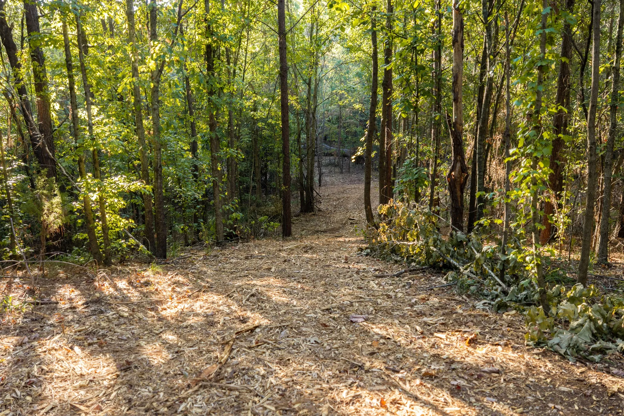 Unimproved Land For Sale