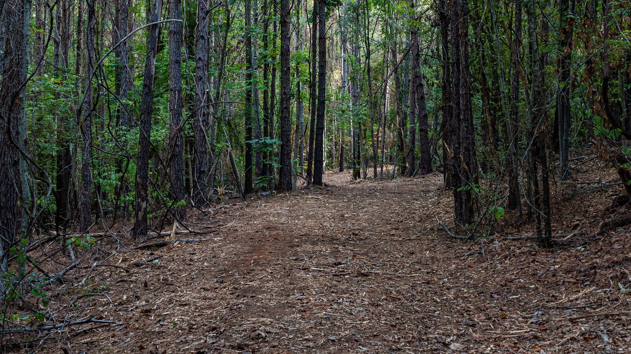 Trails