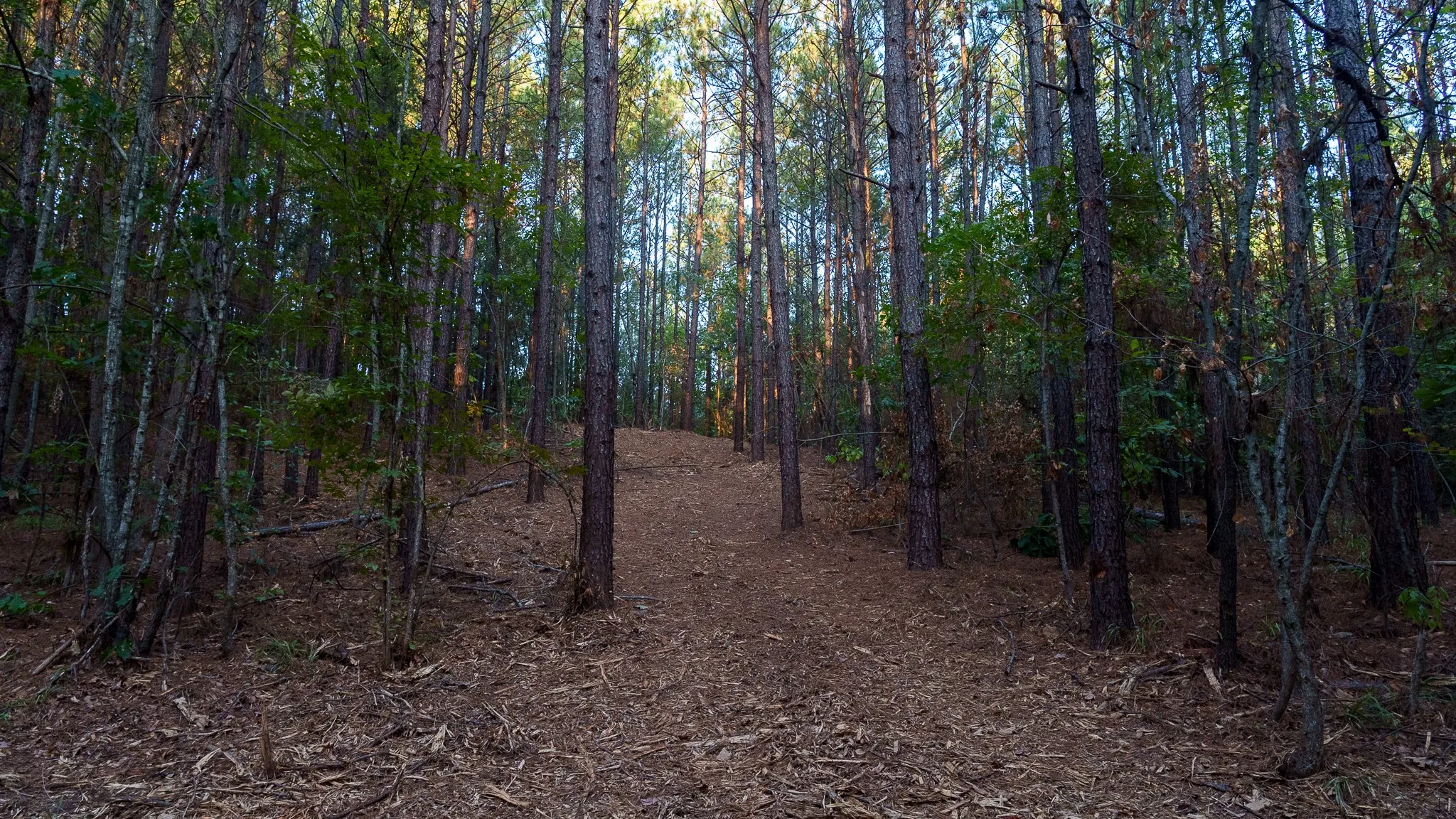 Unimproved Land For Sale in Smith County , TBD FM 2015, Tyler, Texas 75708, 0, 0, Garage spaces, 0 Sqft, built in 0, mls#21389056, Real Estate Agent in Tyler, Homes For Sale in Smith county, Homes For Sale in Tyler, Realtor in Tyler Texas, Real Estate Brokerage Independent Realty Texas, Luminita Cordes Realtor