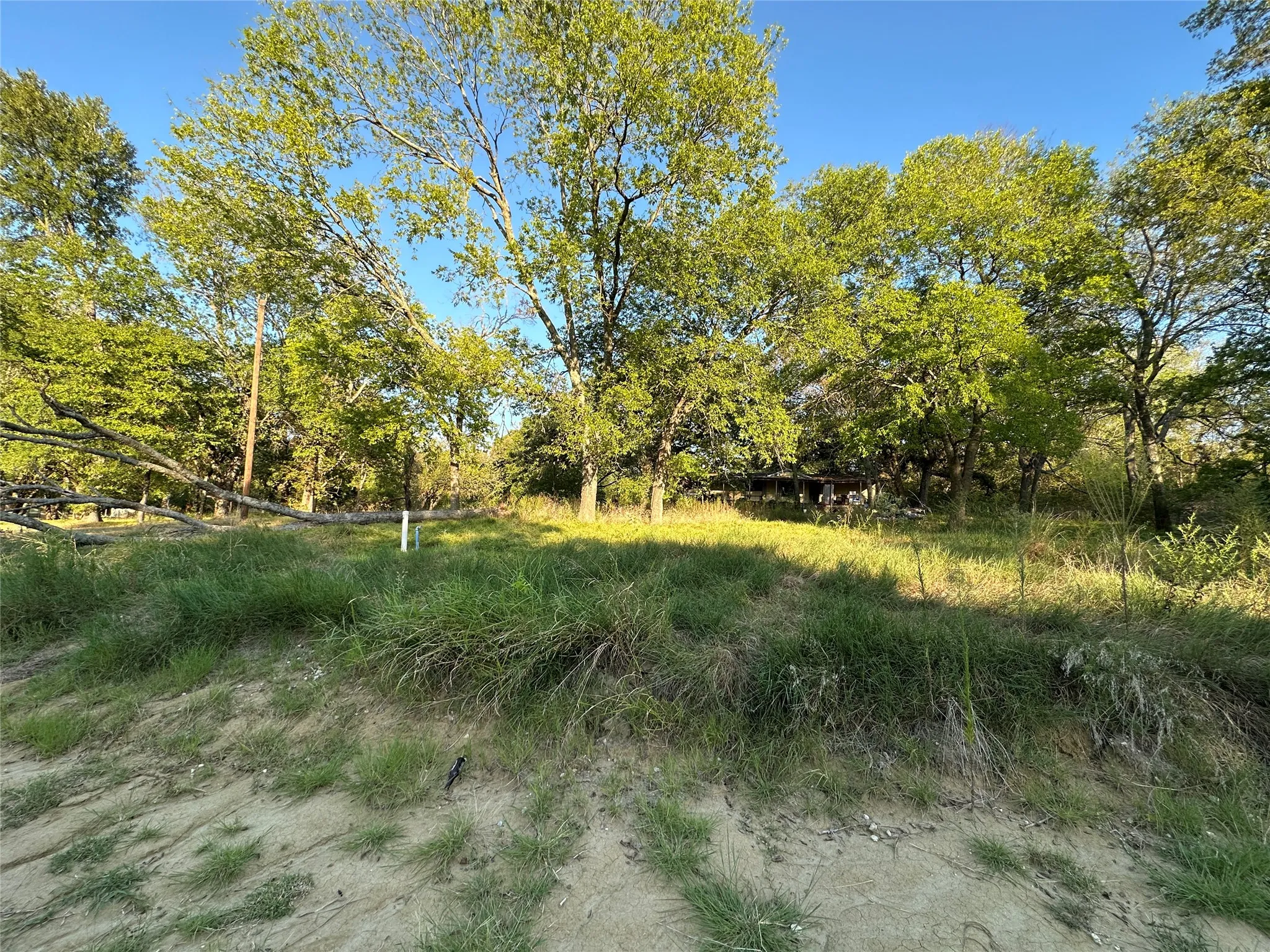 Improved Land For Sale in Hunt County , 10497 Newell Creek Drive, Quinlan, Texas 75474, 0, 0, Garage spaces, 0 Sqft, built in 1994, mls#21389095, Real Estate Agent in Quinlan, Homes For Sale in Hunt county, Homes For Sale in Quinlan, Realtor in Quinlan Texas, Real Estate Brokerage Independent Realty Texas, Luminita Cordes Realtor