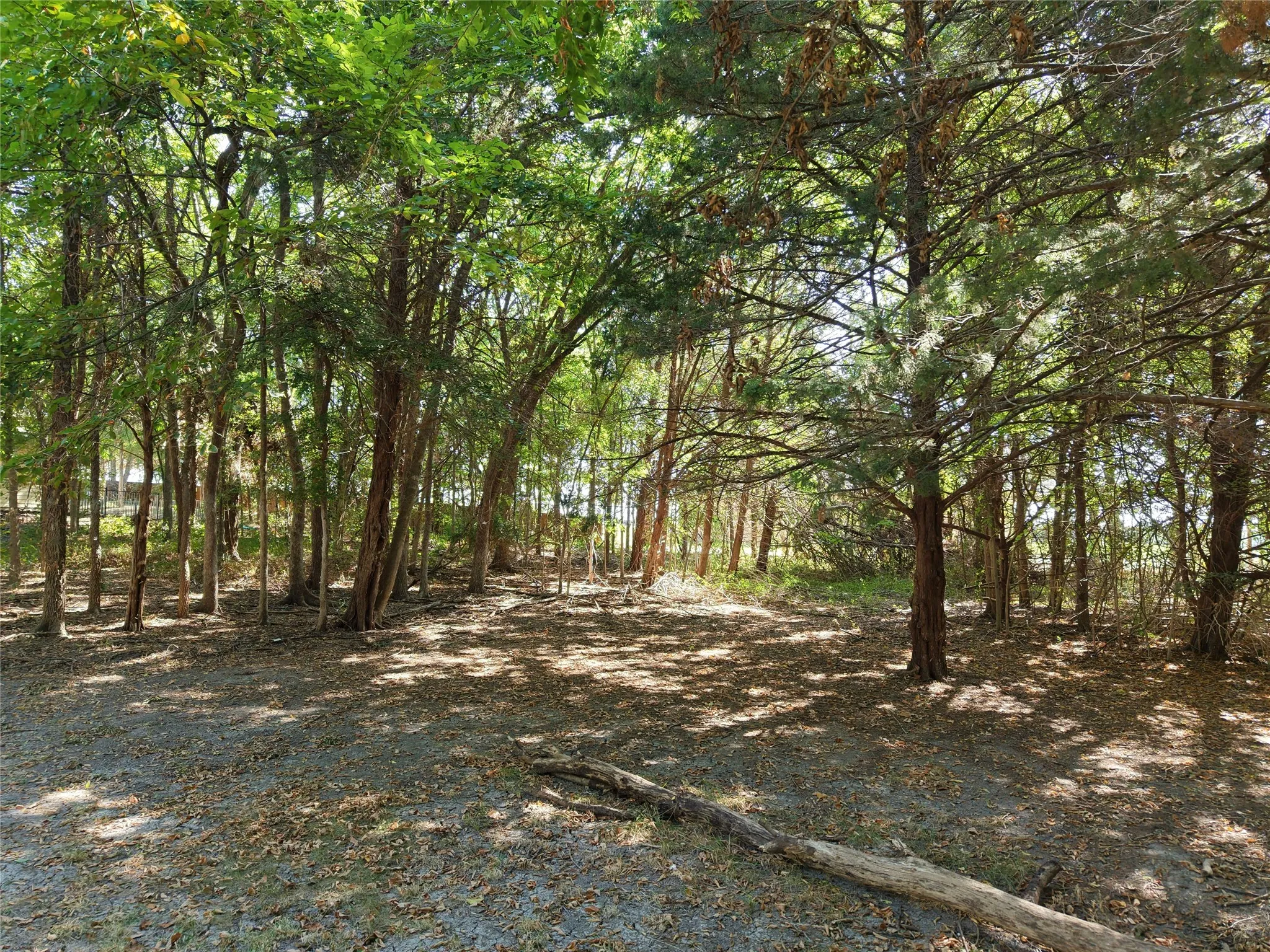Single Family Residence For Sale in Grayson County , 114 Scott Court, Van Alstyne, Texas 75495, 3 Bedroom, 2 Bathroom, 2 Garage spaces, 1,628 Sqft, built in 2020, mls#21356729, Real Estate Agent in Van Alstyne, Homes For Sale in Grayson county, Homes For Sale in Van Alstyne, Realtor in Van Alstyne Texas, Real Estate Brokerage Independent Realty Texas, Luminita Cordes Realtor