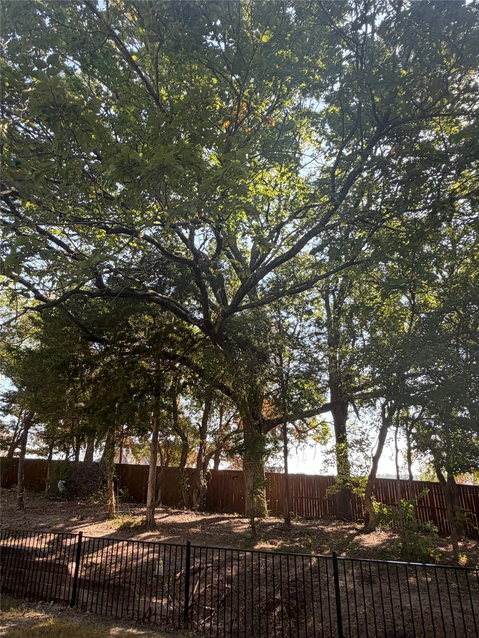 Single Family Residence For Sale in Grayson County , 114 Scott Court, Van Alstyne, Texas 75495, 3 Bedroom, 2 Bathroom, 2 Garage spaces, 1,628 Sqft, built in 2020, mls#21356729, Real Estate Agent in Van Alstyne, Homes For Sale in Grayson county, Homes For Sale in Van Alstyne, Realtor in Van Alstyne Texas, Real Estate Brokerage Independent Realty Texas, Luminita Cordes Realtor