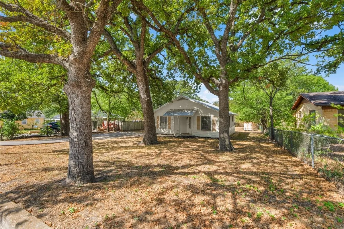 Beautiful shade trees