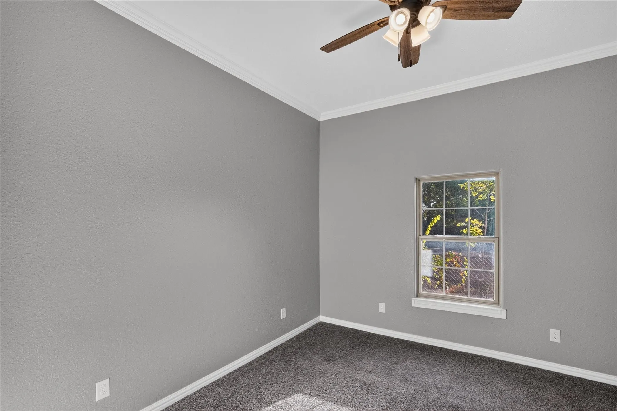 Neutral-toned walls with crown molding and carpeted flooring