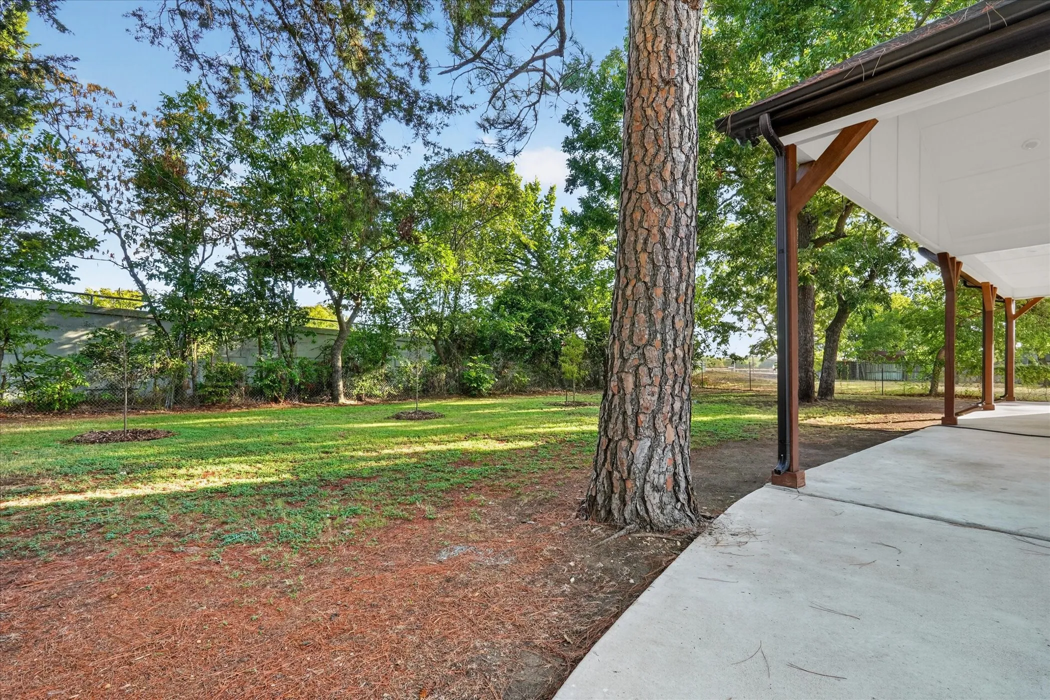 Expansive outdoor concrete patio with exposed wood support beams and white soffit, bordered by a large tree and a grassy area
