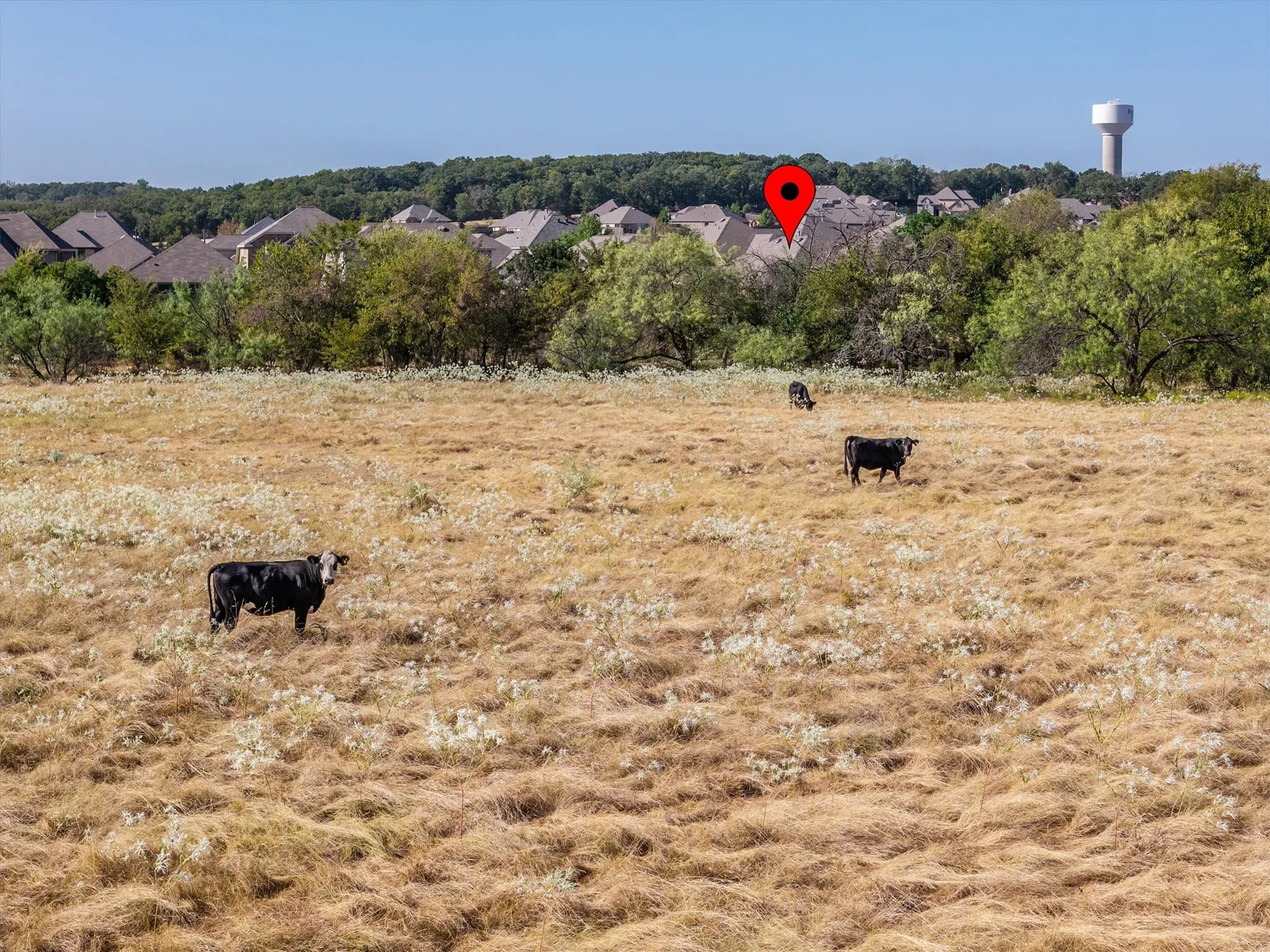 Single Family Residence For Sale in Denton County , 6424 Roaring Creek, Denton, Texas 76226, 3 Bedroom, 2 Bathroom, 2 Garage spaces, 1,738 Sqft, built in 2017, mls#21375456, Real Estate Agent in Denton, Homes For Sale in Denton county, Homes For Sale in Denton, Realtor in Denton Texas, Real Estate Brokerage Independent Realty Texas, Luminita Cordes Realtor