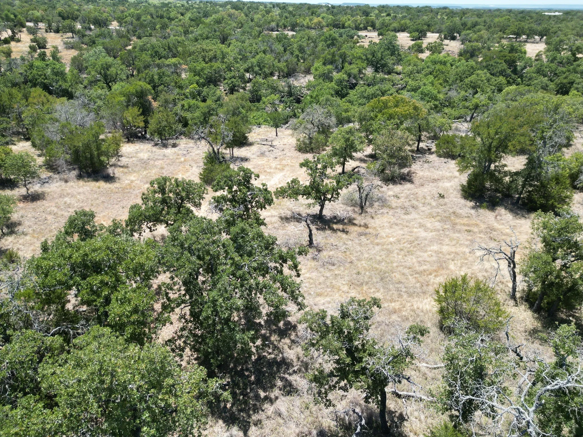 Unimproved Land For Sale in Palo Pinto County , 1019 Stagecoach Trail, Gordon, Texas 76453, 0, 0, Garage spaces, 0 Sqft, built in 0, mls#21365734, Real Estate Agent in Gordon, Homes For Sale in Palo Pinto county, Homes For Sale in Gordon, Realtor in Gordon Texas, Real Estate Brokerage Independent Realty Texas, Luminita Cordes Realtor